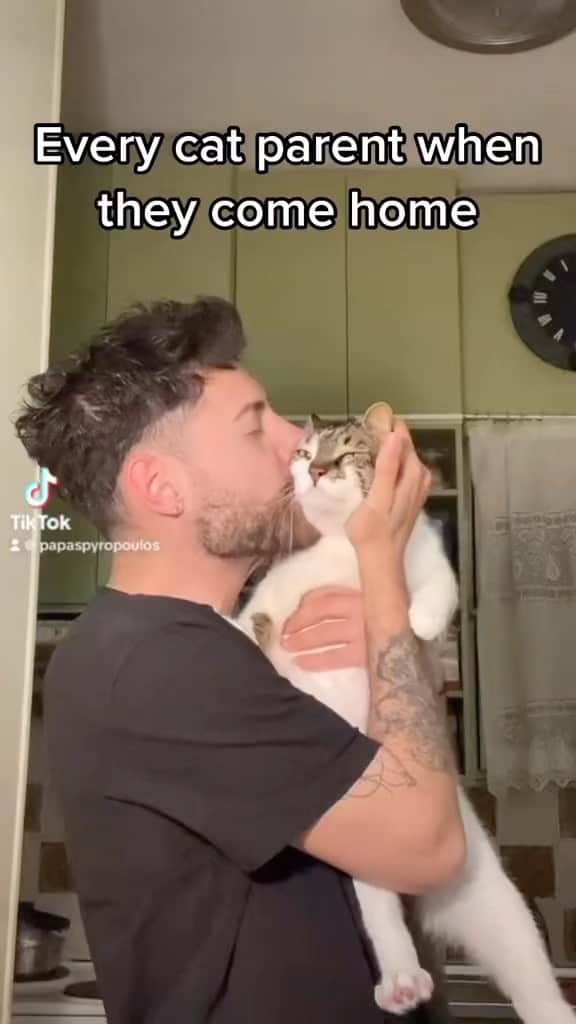 のインスタグラム：「They act like they hate it, but I know, deep down, they they secretly love it. 🥰  If you like it pls support with ❤️  Credit: beautiful papaspyropoulos (tt) Check them out ☺️  ** For all crediting issues and removals pls 𝐄𝐦𝐚𝐢𝐥 𝐮𝐬 ☺️  𝐍𝐨𝐭𝐞: we don’t own this video/pics, all rights go to their respective owners. If owner is not provided, tagged (meaning we couldn’t find who is the owner), 𝐩𝐥𝐬 𝐄𝐦𝐚𝐢𝐥 𝐮𝐬 with 𝐬𝐮𝐛𝐣𝐞𝐜𝐭 “𝐂𝐫𝐞𝐝𝐢𝐭 𝐈𝐬𝐬𝐮𝐞𝐬” and 𝐨𝐰𝐧𝐞𝐫 𝐰𝐢𝐥𝐥 𝐛𝐞 𝐭𝐚𝐠𝐠𝐞𝐝 𝐬𝐡𝐨𝐫𝐭𝐥𝐲 𝐚𝐟𝐭𝐞𝐫.  We have been building this community for over 6 years, but 𝐞𝐯𝐞𝐫𝐲 𝐫𝐞𝐩𝐨𝐫𝐭 𝐜𝐨𝐮𝐥𝐝 𝐠𝐞𝐭 𝐨𝐮𝐫 𝐩𝐚𝐠𝐞 𝐝𝐞𝐥𝐞𝐭𝐞𝐝, pls email us first. **  #sleepingkitty #instakitties #kittycuddles  #catladylife #catsareawesome  #catsareawesome #catsarelife #kittenlovers」