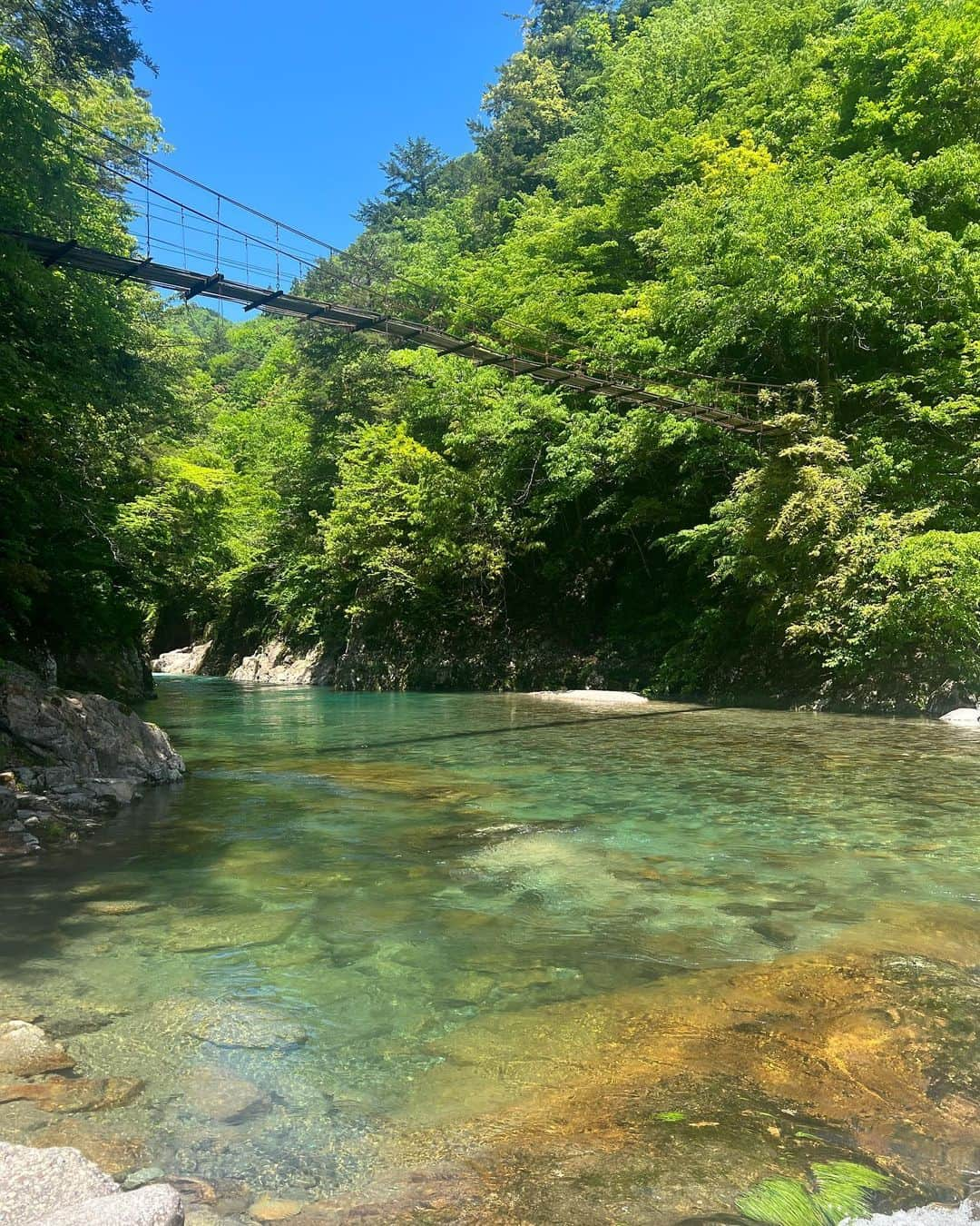 西尾菜々美のインスタグラム：「岐阜県関市🌿  ドデスカ！の木曜特集！ 「Ａぇ! groupのココえぇとこや～ん」で訪れました。  自然豊かで空気が澄んでいて 鮮やかなグリーンの木々に囲まれた 透明度の高い板取川💎  大きな深呼吸をしたくなる 初めてなのに懐かしいような 心落ち着く場所でした☺️  関市のえぇとこ後半は 今週木曜に放送予定です🕊️  #岐阜県 #関市 #板取川 #自然 #nofilter #ドデスカ #ロケ」