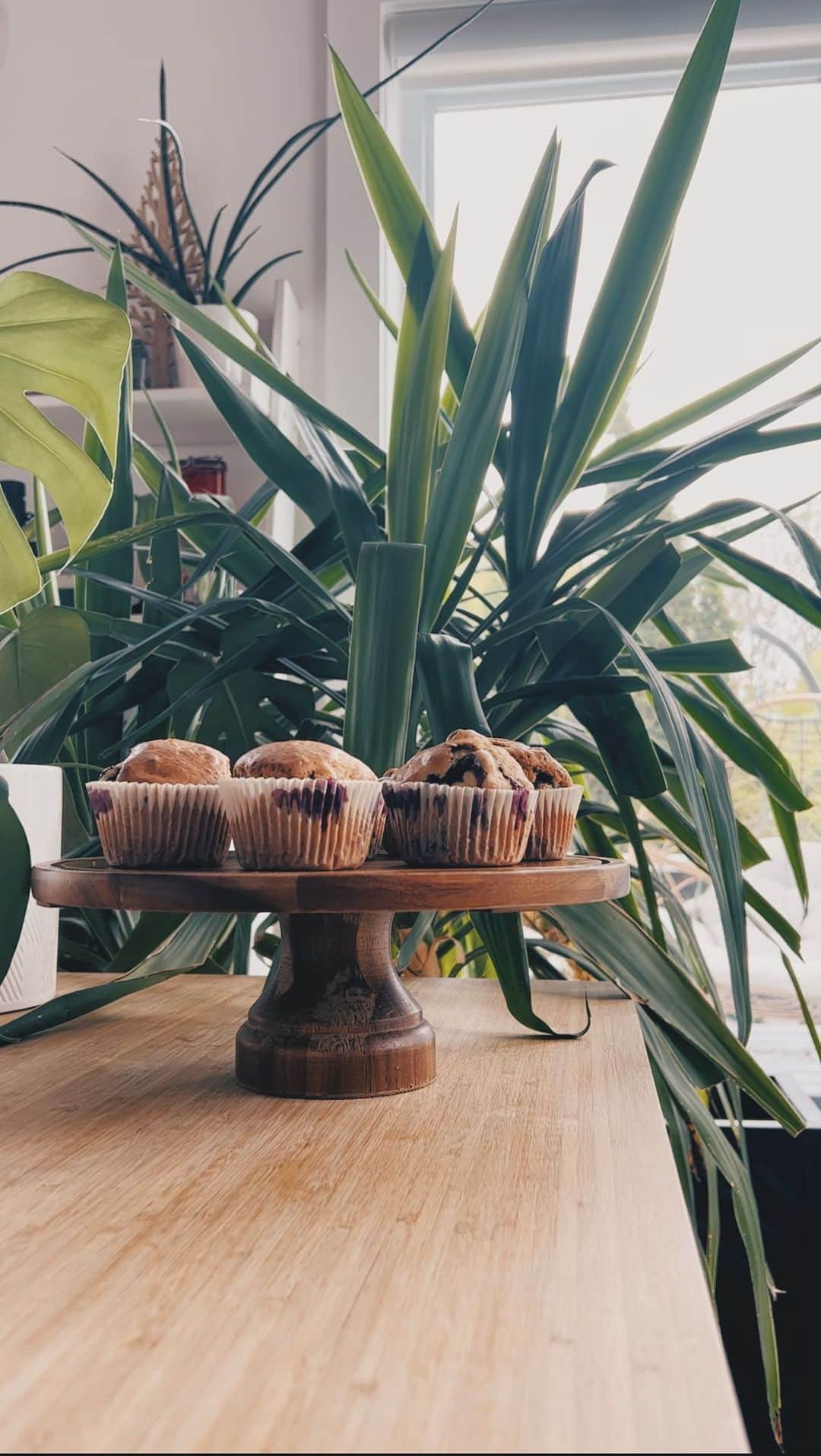 Kalyn Nicholsonのインスタグラム：「had some bluebs to use up last week so whipped together the world’s easiest blueberry muffins/loaf🫐  Ingredients: • 1 1/2 cups of flour (any kind - I used whole wheat) • 3/4 cup brown sugar  • 2 tsp baking powder • pinch of salt  • pinch of cinnamon  • 1/3 cup of oil of choice (I used olive oil)  • 1/3 cup of milk of choice (I used almond)  • 1 tsp vanilla extract • 1/4 cup of apple sauce or 1 egg  • as many blueberries as you want, fresh or frozen  • brown sugar to sprinkle on top   Steps: • Preheat oven to 400F 1. Mix your dry ingredients in one bowl 2. Mix your wet ingredients in another  3. Combine wet mixture to dry until soft/no clumps 4. Fold in your blueberries  5. Scoop into muffin cups or a bread pan if you want to make a loaf instead  6. Bake for about 15-18 minutes (20-25 if using a bread pan) 7. Sprinkle brown sugar on top before cooling  8. Bask in the blueberry brown sugar scent of your home 9. Eat one now and another with your morning coffee tomorrow」