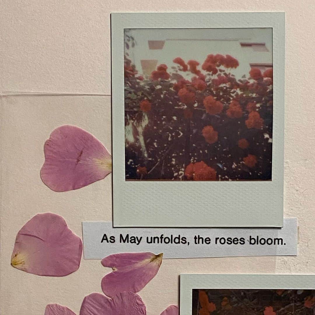 ネオンムーンのインスタグラム：「콜라주 노트를 만들었다🌹」