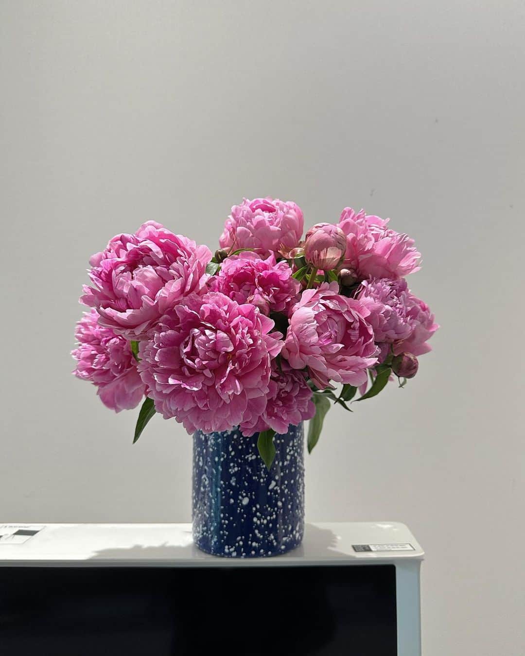 Ivyのインスタグラム：「내가 키운거라니... #peony」