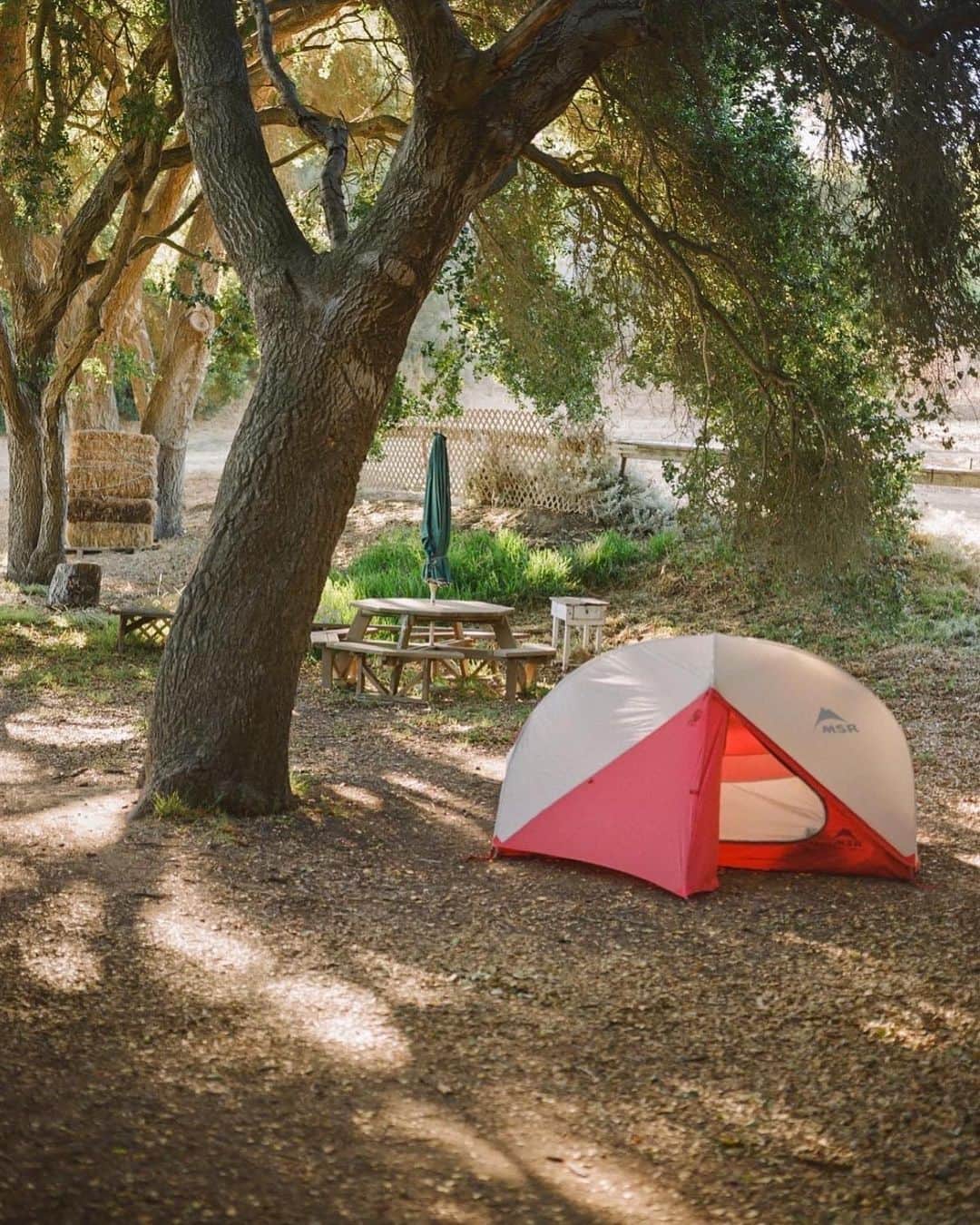 Stumptown Coffee Roastersのインスタグラム：「Anyone go camping with coffee this weekend? ⛺️☕️   If you decided to stick around town instead, our Stumptown cafes are open normal business hours today.   Photos by: @thisguysdope_disguise」