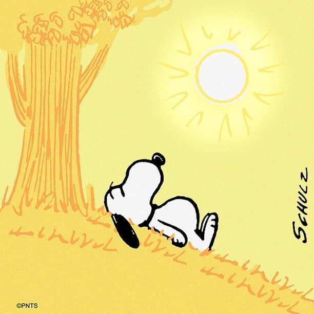スヌーピーさんのインスタグラム写真 - (スヌーピーInstagram)「Long weekend energy」5月30日 2時10分 - snoopygrams