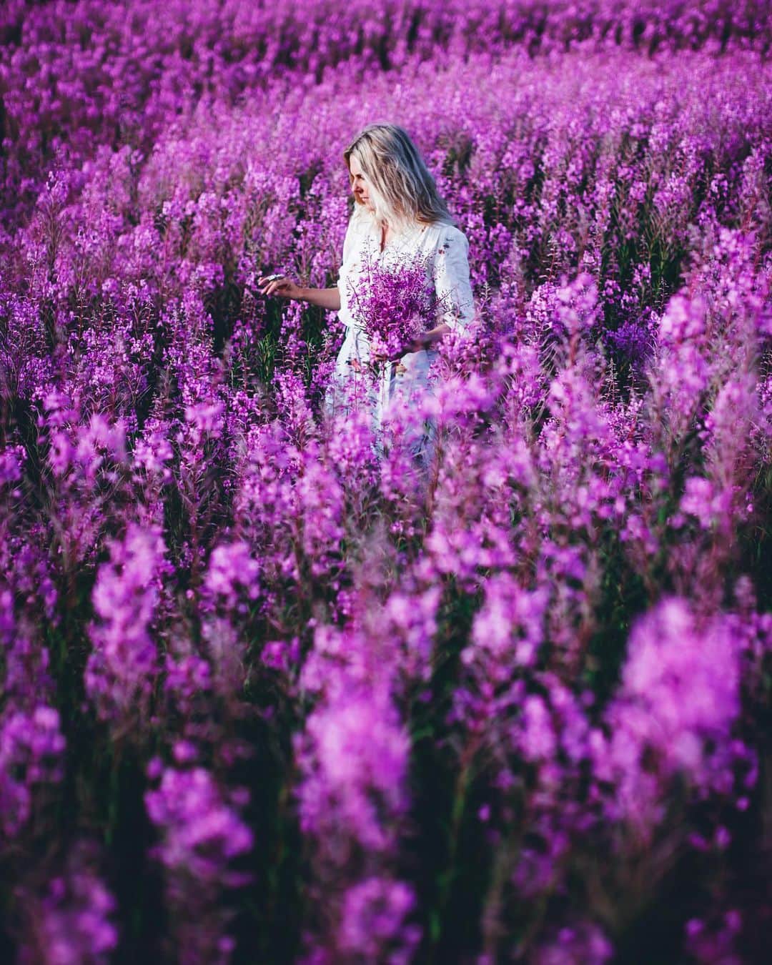 Linda Lomelinoのインスタグラム：「A few more shots from @myfeldt’s book ’Det växer saft och sylt överallt’ 💜 And a quick flip through the book 👉🏼 #detväxersaftochsyltöverallt」