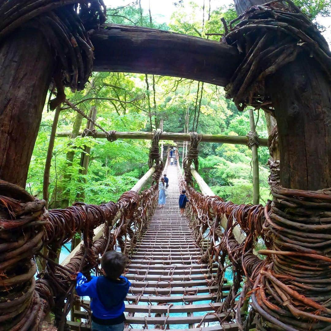 YoYoのインスタグラム：「〜徳島で訪れた場所〜  ★祖谷のかずら橋 「つり橋渡れ」って教科書に載っていたお話のモデルになった場所なのです。懐かしい〜あのお話覚えていますか？？？  久しぶりに訪れたこのスポットは記憶以上のド迫力！足元滑らせてスルッと落ちちゃいそうな！やっぱり危険度なかなかな橋で(ﾟ∀ﾟ)中間地点で恐る恐る掴まりながら、足元の写真撮ってみましたが、恐ろしいですね・・・  日本三奇橋の一つで重要有形民俗文化財だそう。今も3年に一回メンテされていると言う、、、大変な労力の上でこの橋は成り立ってるんですね(ﾟ∀ﾟ)植物の"かずら"で作られた、かずら橋。  ココ、祖谷(イヤ)という場所は日本三大秘境の一つ！！ 【秘境(ひきょう)】外部の人が足を踏み入れたことがほとんどなく、まだ一般に知られていない地域。  この言葉めちゃくちゃワクワクしますね・・・  ★小便小僧 小便する小僧の銅像w キャッチー！子供達が大喜びしそうなやーつー。広大な景色である、見下ろす祖谷渓谷！ 子供達はここで小便するという度胸試しをしたらしい、、、という逸話、、みたい。  そんな小便小僧からずーっと下り川の麓までケーブルカーで降りれるのですが、来てみたら川の水が透き通りすぎてて、、、ぅぅうううわぁーーー感動(//∇//)  広大な吉野川から繋がる川、、、大自然のイオンに触れる事ができました！！！  #徳島 #徳島県三好市 #かづら橋 #祖谷渓谷 #小便小僧  #母の故郷 #祖母に会う旅」