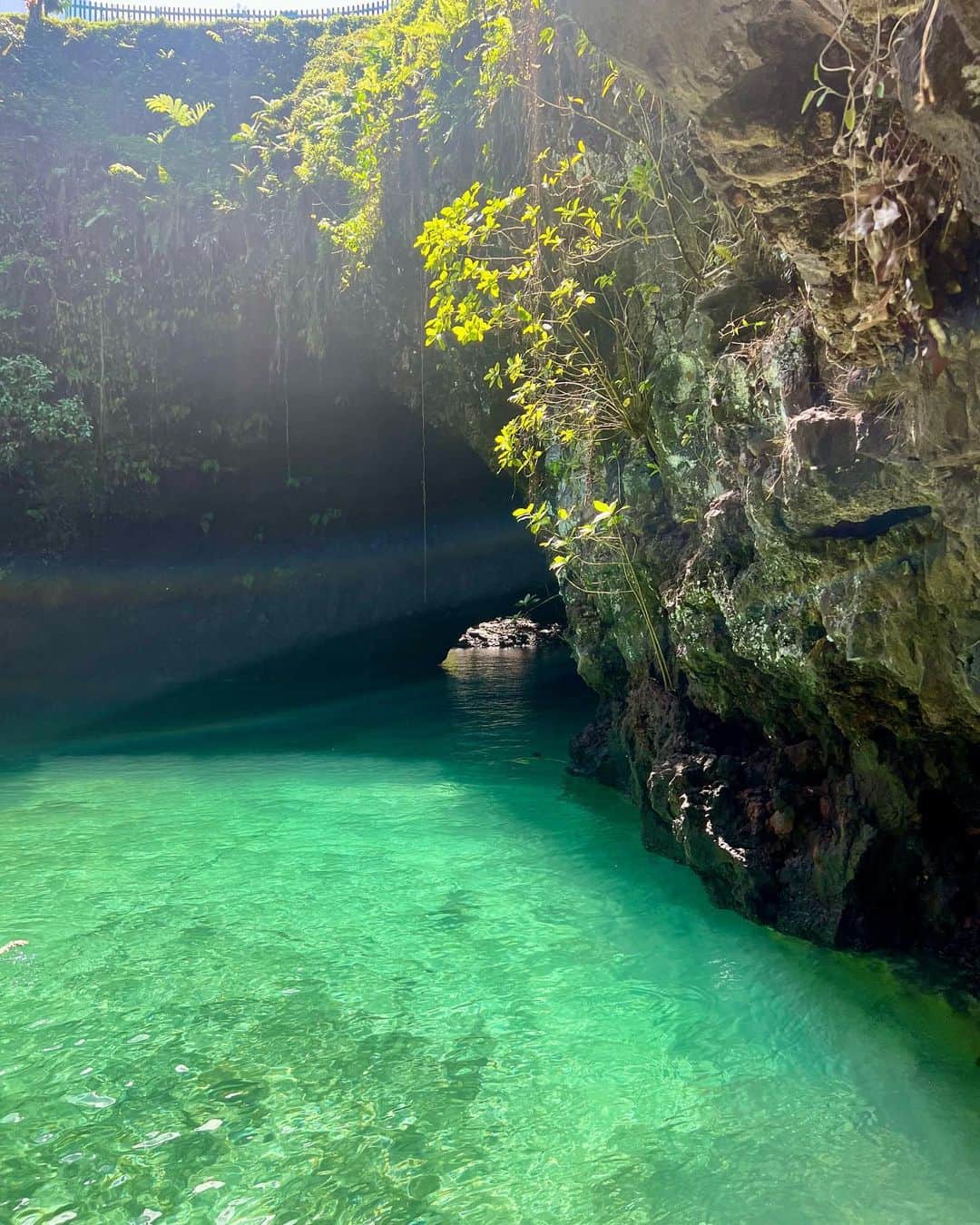 上梨ライムさんのインスタグラム写真 - (上梨ライムInstagram)「Exploring the beautiful caves in Samoa was breathtaking. It felt like I was in another world 🌎  . . . #samoa」5月30日 15時50分 - raimu.kaminashi_official