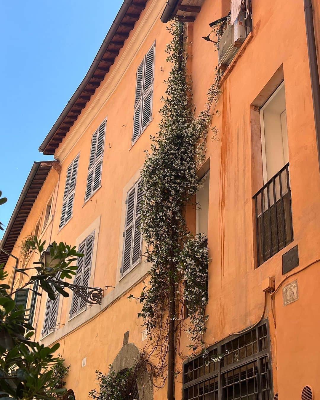 ミナ さんのインスタグラム写真 - (ミナ Instagram)「자주 가는 동네들은 골목 골목이 참 예쁘다. 구석구석 발 닿는대로 돌아다니며 골목 사이 숨겨진 예쁨을 발견하는 뿌듯함🏡  로마에서는 지나가다 슥 본 건물들 색 조합이 너무 예뻤고 버스킹 소리에 이끌려 들어간 이름 모를 공원이 예뻤지  로마는 길거리에서 항상 음악소리가 들려서 낭만있는 장면들이 많았다🎼  #blossomh_Italy」5月30日 16時11分 - blossomh_
