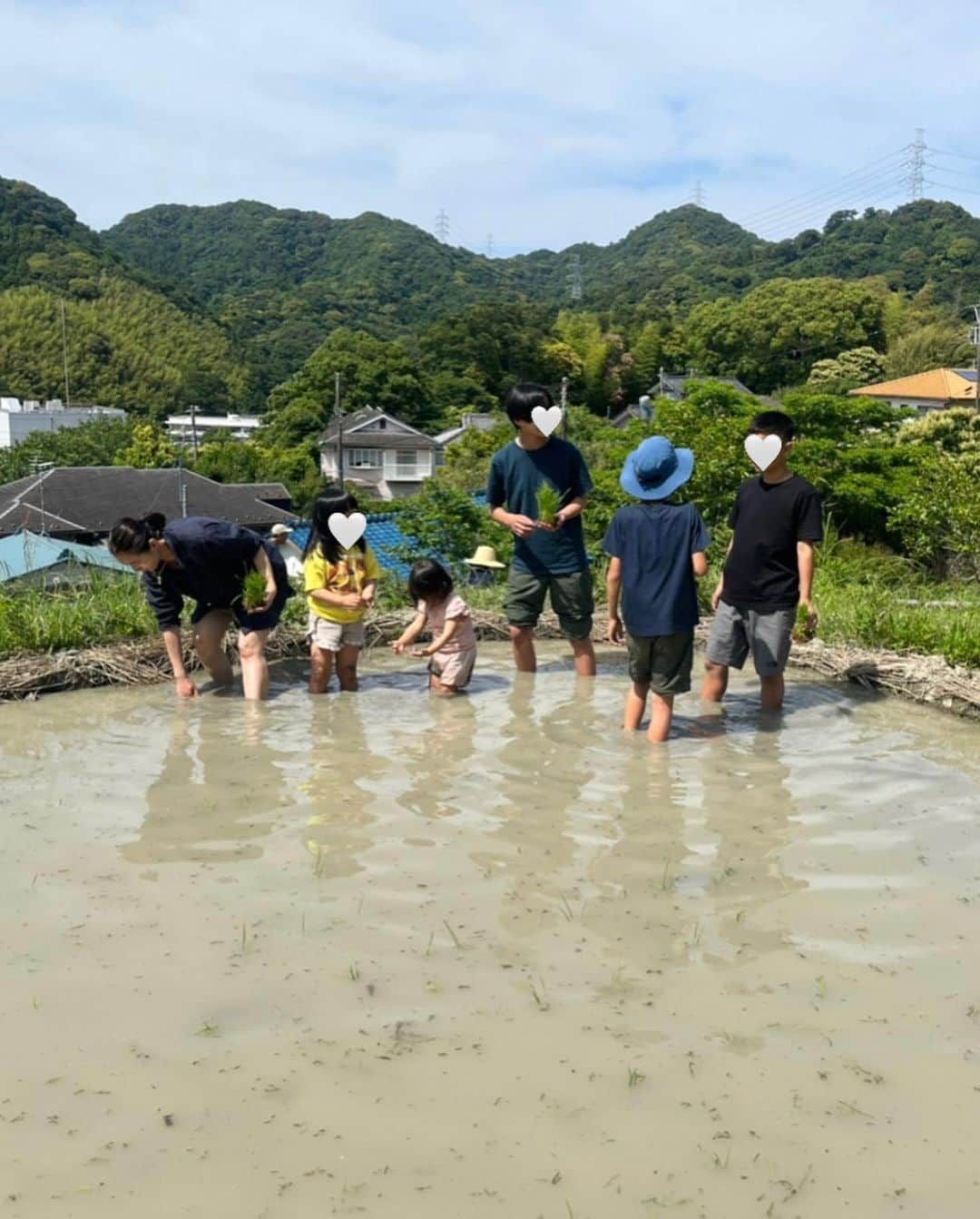 澤田泉美さんのインスタグラム写真 - (澤田泉美Instagram)「先週末は、お友達がお誘いをしてくれたので、 葉山まで田植えをしに行ってきました🌾🌾🌾  素足で触れる土の感触は最高だった‼️  叩いて割ったスイカを頬張ったり、 そこのお米から作られたヴィーガンアイスをいただいたり🍉🍨🥰私も子どもも目がキラキラ🥰  とにかく、葉山の温かい人達と自然に触れて最高の休日でした！  夜は、ひろこさんのお家で 見た目も味も美味しい食事をいただき（手巻き寿司もあったのに、撮り忘れた😭）、夜まで延々と飲みながらお話して、合間には近所の友達や恭平さん夫婦も遊びに来てくれて🥹❤️ 昼も夜も“葉山最高〜〜〜！”ってなったのでした🤣🤣🤣  ひろこさん、お誘いしてくれて本当にありがとう❤️ そして、泊めてくれてありがとう🤣❤️ 環境が良すぎて、すぐにでも遊びに行きたいので またお願いします🤣❤️❤️❤️笑  うちにも来てね❤️  #田植え#葉山 #最高の休日 #楽しかった#いや#楽しすぎた #葉山最高」5月30日 16時26分 - izumi.sawada