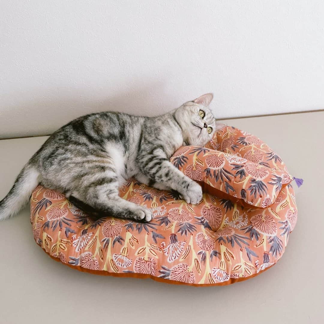 オルネ ド フォイユさんのインスタグラム写真 - (オルネ ド フォイユInstagram)「. 🐾オルネコ オリジナル座布団の新柄が入荷します🐾  ●本日 30日(火)18:00頃の販売開始です。  人気のブロックプリント× 無地の生地を使った オリジナルの猫座布団。 可愛いミニフリンジが付いた、 猫用の枕がセットになっています！  人間用のクッションでも欲しくなるような、 4つの柄を今回もセレクト。  床の上はもちろん、ソファなどの上に置いても インテリアアイテムとしても成り立つデザインです。  少しもちっとする、程よい弾力があるクッションで 猫ちゃんものんびりくつろげますよ🐈  ・ 商品名：オルネコ オリジナル座布団 ∟A〜D（4種類）  ※画像には今回販売しない柄も含まれています。 （本日入荷する新柄は、画像3枚目の4種類です）  ———————————————  ●商品詳細は販売後、 プロフィールのリンクからご確認ください。 👉@ornedefeuilles  ※検索画面で「座布団」でチェック🔎  ※オンラインショップと不動前店の取扱い商品は異なります。 ———————————————  . #猫座布団 #猫クッション #猫ベッド #ペットベッド #ねこ #猫 #猫グッズ #猫アイテム #orneko #オルネコ #オルネコ部 #猫と暮らすインテリア #猫とインテリア #ねこグッズ #猫グッズ #インテリア雑貨 #ornedefeuilles #オルネドフォイユ」5月30日 8時04分 - ornedefeuilles