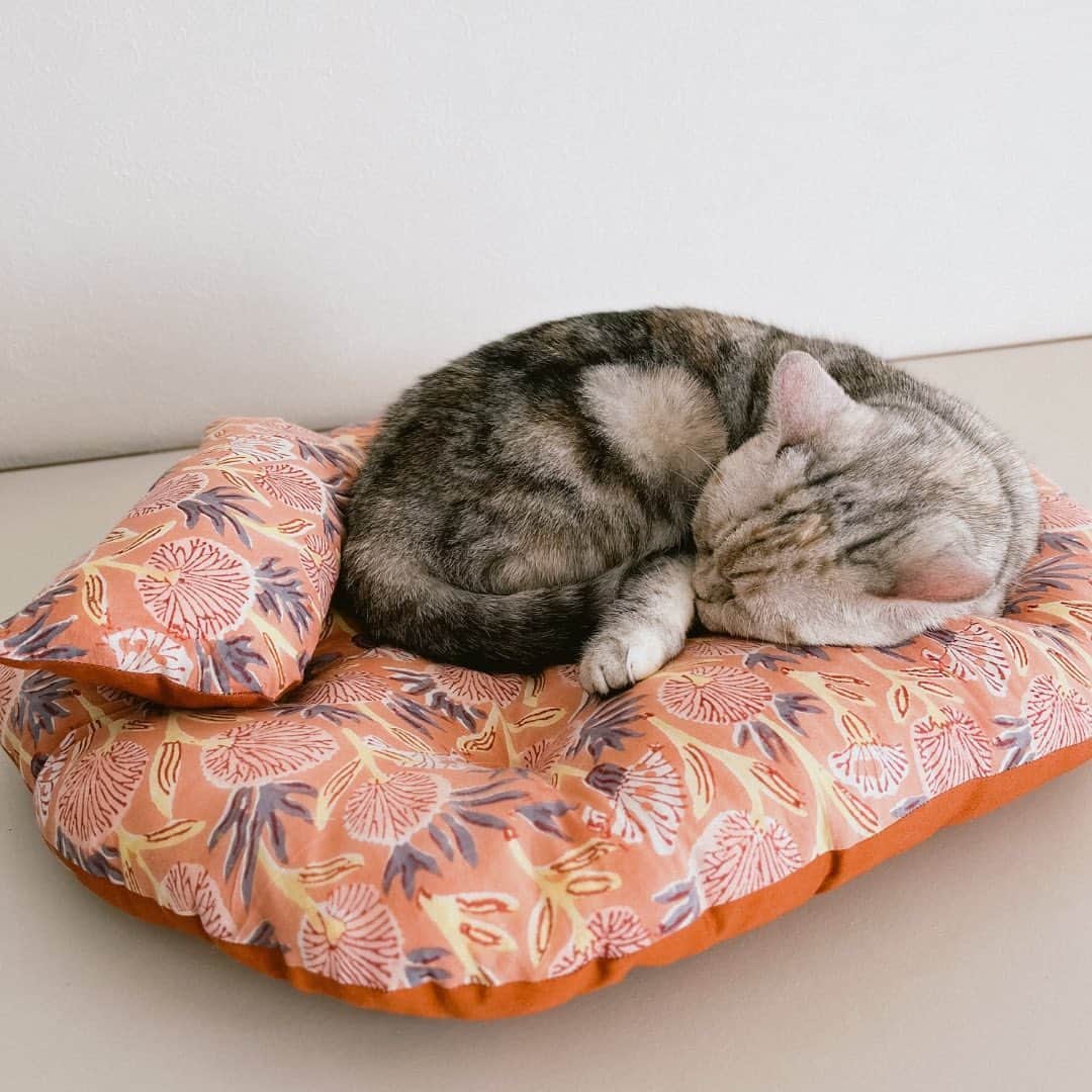 オルネ ド フォイユさんのインスタグラム写真 - (オルネ ド フォイユInstagram)「. 🐾オルネコ オリジナル座布団の新柄が入荷します🐾  ●本日 30日(火)18:00頃の販売開始です。  人気のブロックプリント× 無地の生地を使った オリジナルの猫座布団。 可愛いミニフリンジが付いた、 猫用の枕がセットになっています！  人間用のクッションでも欲しくなるような、 4つの柄を今回もセレクト。  床の上はもちろん、ソファなどの上に置いても インテリアアイテムとしても成り立つデザインです。  少しもちっとする、程よい弾力があるクッションで 猫ちゃんものんびりくつろげますよ🐈  ・ 商品名：オルネコ オリジナル座布団 ∟A〜D（4種類）  ※画像には今回販売しない柄も含まれています。 （本日入荷する新柄は、画像3枚目の4種類です）  ———————————————  ●商品詳細は販売後、 プロフィールのリンクからご確認ください。 👉@ornedefeuilles  ※検索画面で「座布団」でチェック🔎  ※オンラインショップと不動前店の取扱い商品は異なります。 ———————————————  . #猫座布団 #猫クッション #猫ベッド #ペットベッド #ねこ #猫 #猫グッズ #猫アイテム #orneko #オルネコ #オルネコ部 #猫と暮らすインテリア #猫とインテリア #ねこグッズ #猫グッズ #インテリア雑貨 #ornedefeuilles #オルネドフォイユ」5月30日 8時04分 - ornedefeuilles