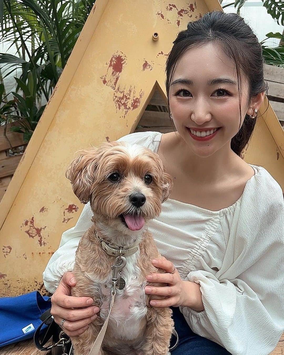 三輪晴香のインスタグラム：「. . 実家での時間は穏やかな時間が流れてて 出てくるご飯、会話、愛犬… 全てに癒されました☺️  「たまにはゆっくり帰っておいで」 という言葉に甘えて 上京して初めてこんな長くいれたかな😌 いつも弾丸だもんね笑  家族の時間も離れてるからこそ大切にしなきゃいけないなと思わされました。  皆さんもたまには一息つける時間をつくってあげてね🌼  #休日の過ごし方 #オフショット #マルプー #実家 #滋賀 #いばらきフラワーパーク」