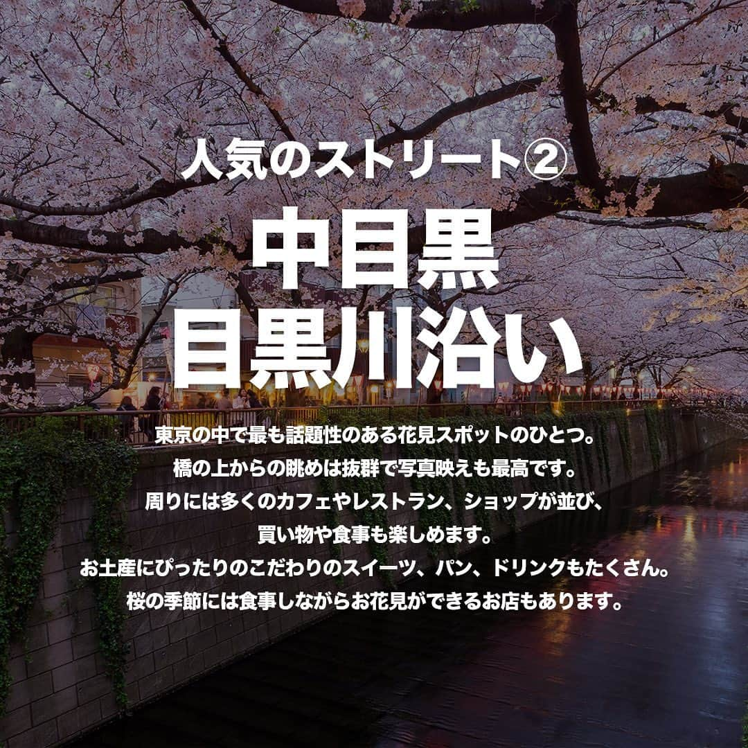 TokyuPlazaGinzaofficialさんのインスタグラム写真 - (TokyuPlazaGinzaofficialInstagram)「・ 【みんな知ってる？ 東京で人気のストリート3選】 皆さん行ってみたいストリートはありますか？ 今回は街歩きを楽しむのにぴったりなストリートを3つご紹介します！ お出かけの際にぜひ参考にしてみてください！  【 #丸の内仲通り から #東急プラザ銀座 】 丸の内のメインストリート、丸の内仲通り。 街路樹や石畳が美しい通り沿いには、有名ブランド店をはじめとするショップ、 おしゃれなカフェやレストランなどがあり、 まるで外国の街を歩いているような気分になれます。 この丸の内仲通りは銀座までつながっているので、東急プラザ銀座まで 丸の内・日比谷・銀座を楽しくウィンドウショッピングしながら 徒歩で移動することができます。  【 #中目黒 #目黒川沿い 】 東京の中で最も話題性のある花見スポットのひとつ。 橋の上からの眺めは抜群で写真映えも最高です。 周りには多くのカフェやレストラン、ショップが並び、 買い物や食事も楽しめます。 お土産にぴったりのこだわりのスイーツ、パン、ドリンクもたくさん。 桜の季節には食事しながらお花見ができるお店もあります。  【 #表参道 】 美しいケヤキ並木にファッションビル、カフェ、ブランドショップが並び、 まるで日本ではないかのような雰囲気。 お天気の良い日に温かい木漏れ日の中を歩いたり、 イルミネーションが輝く冬の夜にお散歩したりと、いろんな楽しみが広がります。 美容院やギャラリー、おしゃれなレストランも多く、 並木道を歩きながら大人のショッピングを楽しめます。  行ってみたいと思ったらいいね･保存お願いします！  #東急プラザ銀座 #銀プラ #銀座 #ginza #有楽町 #日比谷 #銀座カフェ #銀座ランチ #銀座ディナー #お買い物 #銀ぶら #おすすめカフェ #東京 #ストリート #通り #街歩き」5月30日 18時00分 - tokyuplazaginzaofficial