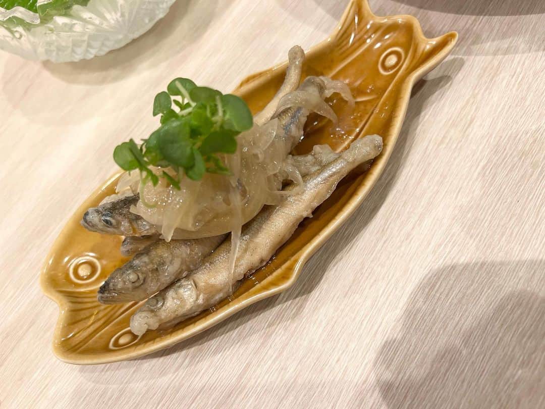 のあぽよさんのインスタグラム写真 - (のあぽよInstagram)「めっちゃ不思議な所で美味しいところ見つけた🐟🫶🏻  .  #和食#和食ディナー#dinner#食べスタグラム#食べ歩き」5月30日 10時27分 - noatan090924