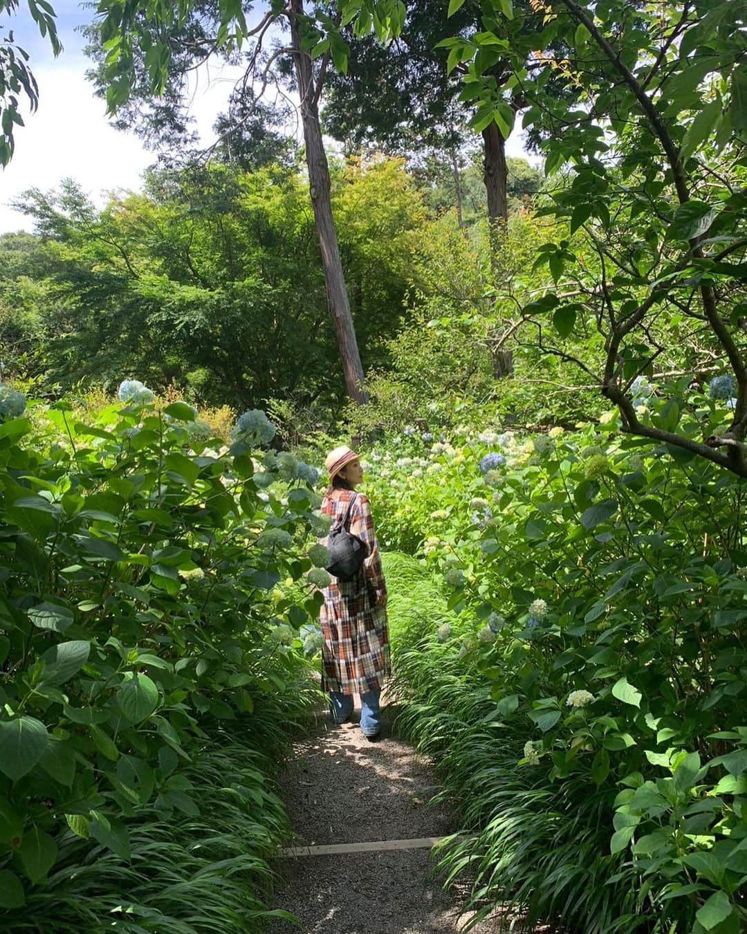 田中美里のインスタグラム：「旅のおもひで。  #北鎌倉 #明月院 #紫陽花」