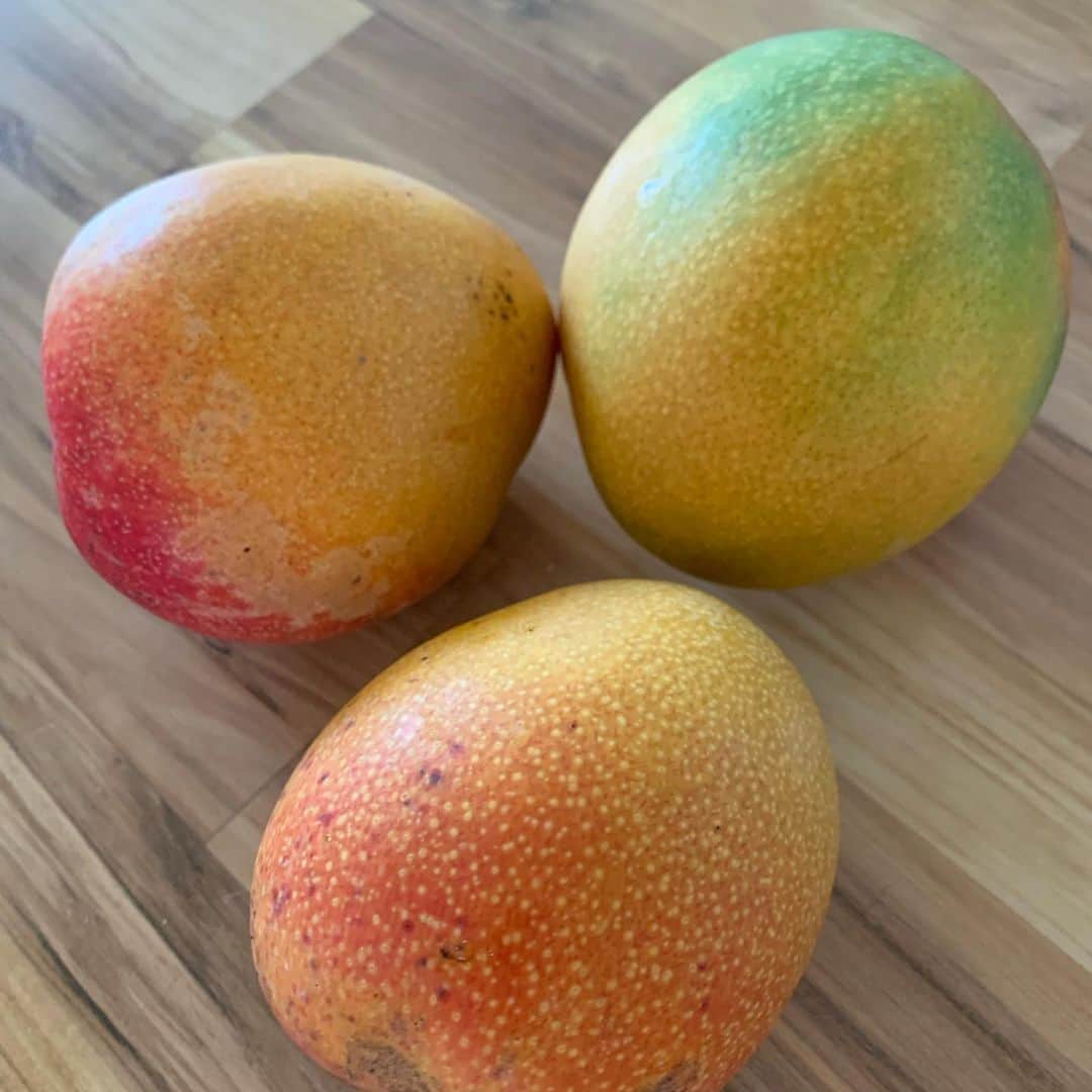 飯島寛子のインスタグラム：「From Maui Mango! お裾分けありがとう！ スーパーで買うの出なくて、ギリギリまでお家で育ったマンゴーが食べたかったので嬉しい🥭 #マンゴ #mauimango #hawaiilife #mango #ハワイライフ」