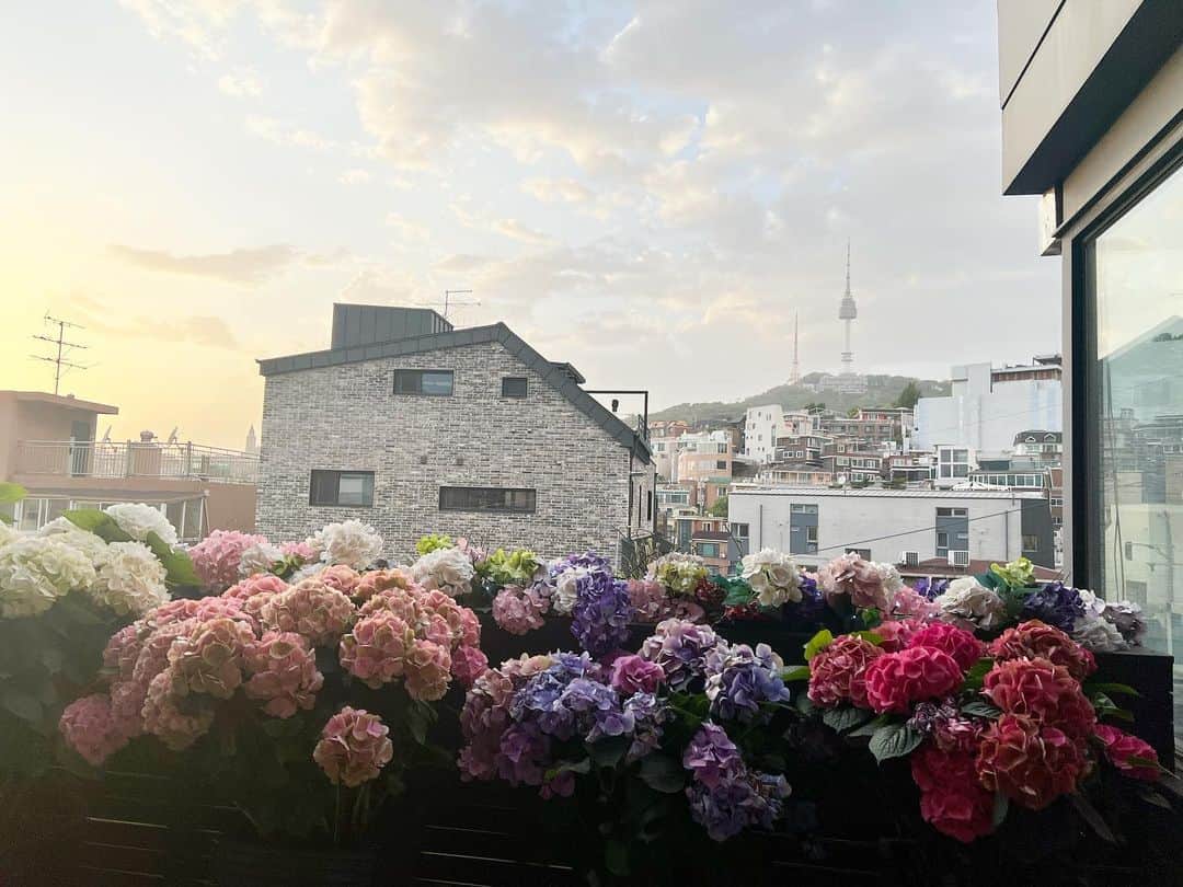 カン・ユンジのインスタグラム：「💕 #flower #seoultower」