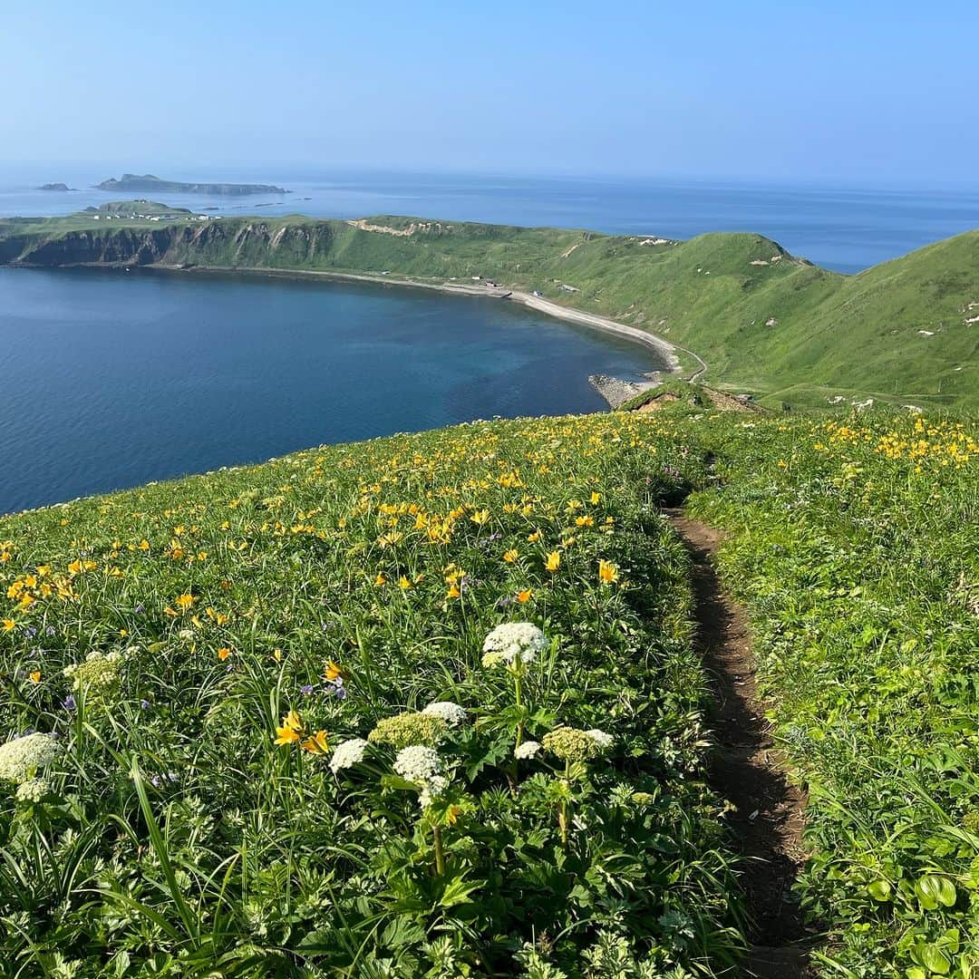 北海道じゃらん【公式】さんのインスタグラム写真 - (北海道じゃらん【公式】Instagram)「北海道の旅のオンシーズンになりました！ 北海道内の“憧れの場所”への旅行はいかがでしょうか？  札幌からバス～フェリー～バスでお得に“花の浮島礼文島"に行きませんか？ 今のシーズンはここにしか咲かない花が満開です🌷  6月1日～10月31日まで“ウェルカム＆バックキャンペーン"を実施中。 先着2,000名で、礼文島内で3泊以上宿泊、または礼文島内で1泊して体験プログラムに1つ以上参加すると帰りのフェリーが無料になるかも！？ また、7つのトレッキングコースにチャレンジすると、完走コースの数だけプレゼントが貰える“礼文島トレイル７"も実施。 こちらもウェルカム＆バックキャンペーンの体験プログラムにカウントされますので、Wでチャレンジしてお得な花旅をしましょう！ 旅の終わりに“彩北航路フォトキャンペーン”に参加して思い出の写真を応募してみて📷  #北海道じゃらん #北海道じゃらん6月号 #礼文島 #島 #北海道 #利尻礼文 #桃岩展望台 #北のカナリアパーク #ハートランドフェリー #ウェルカムアンドバックキャンペーン #礼文島トレイル７　#レブンアツモリソウ　#レブンソウ #彩北航路フォトキャンペーン」5月30日 12時00分 - hokkaido_jalan