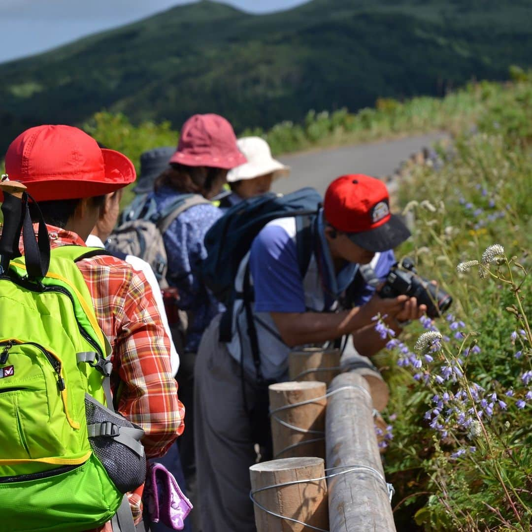 北海道じゃらん【公式】さんのインスタグラム写真 - (北海道じゃらん【公式】Instagram)「北海道の旅のオンシーズンになりました！ 北海道内の“憧れの場所”への旅行はいかがでしょうか？  札幌からバス～フェリー～バスでお得に“花の浮島礼文島"に行きませんか？ 今のシーズンはここにしか咲かない花が満開です🌷  6月1日～10月31日まで“ウェルカム＆バックキャンペーン"を実施中。 先着2,000名で、礼文島内で3泊以上宿泊、または礼文島内で1泊して体験プログラムに1つ以上参加すると帰りのフェリーが無料になるかも！？ また、7つのトレッキングコースにチャレンジすると、完走コースの数だけプレゼントが貰える“礼文島トレイル７"も実施。 こちらもウェルカム＆バックキャンペーンの体験プログラムにカウントされますので、Wでチャレンジしてお得な花旅をしましょう！ 旅の終わりに“彩北航路フォトキャンペーン”に参加して思い出の写真を応募してみて📷  #北海道じゃらん #北海道じゃらん6月号 #礼文島 #島 #北海道 #利尻礼文 #桃岩展望台 #北のカナリアパーク #ハートランドフェリー #ウェルカムアンドバックキャンペーン #礼文島トレイル７　#レブンアツモリソウ　#レブンソウ #彩北航路フォトキャンペーン」5月30日 12時00分 - hokkaido_jalan