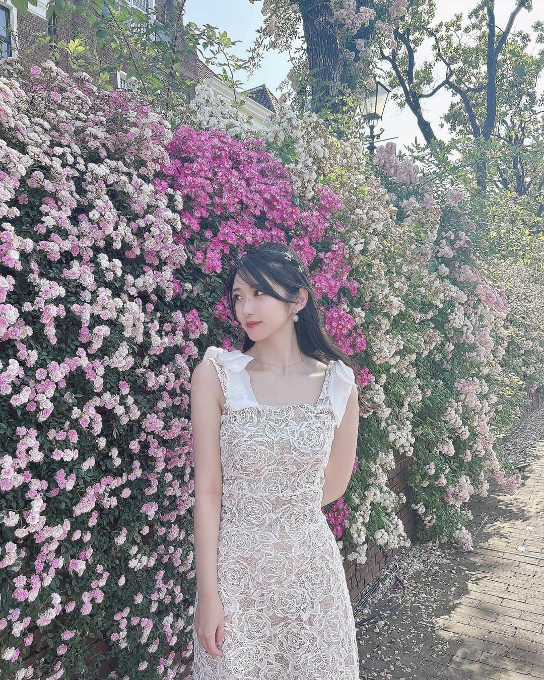 れみぱんのインスタグラム：「毎年薔薇の季節が楽しみ🌹 今年は雨が多くて全然見に行けなかったけどハウステンボスの薔薇に間に合ってよかった🌹」