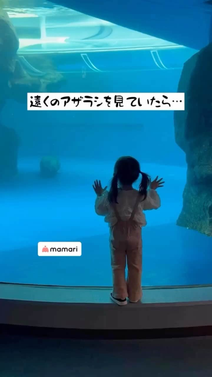 ママリのインスタグラム