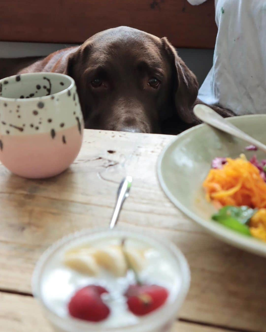 masakiさんのインスタグラム写真 - (masakiInstagram)「森食堂 今日のブランチ 野菜が食べたくて、 ベジタブルプレートを。 食べないと思った裸の王様も、 人参以外めずらしく食べられました。 やればできるじゃんw」5月30日 12時47分 - mogurapicassowols