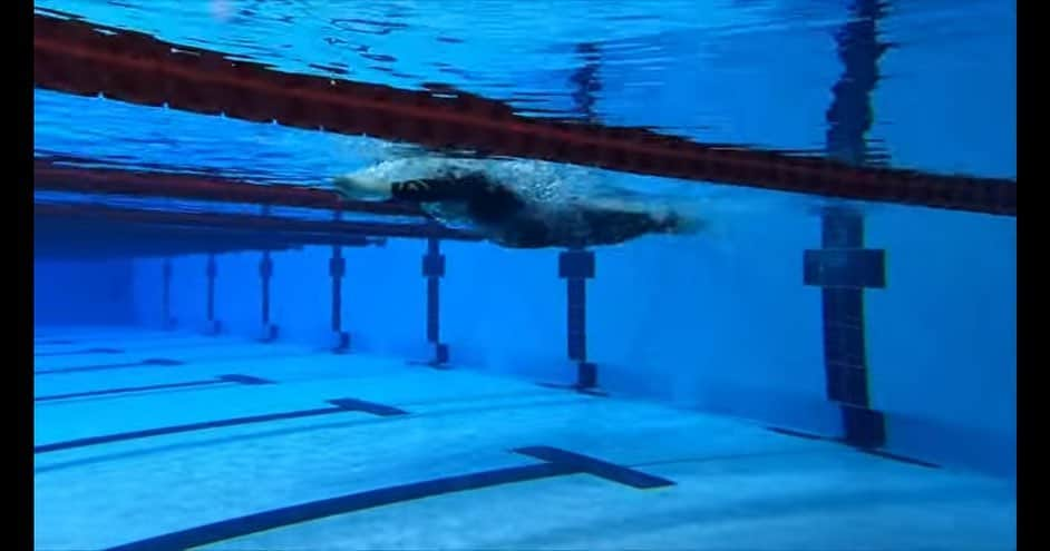 杉谷拳士さんのインスタグラム写真 - (杉谷拳士Instagram)「. 【トライアスロン】 毎日、水の中🏊。笑 明日は早朝から海トレーニング🌊‼︎‼︎  たくさんのサポートに感謝です。。  挑戦することで初めて分かる、様々な競技の魅力🤗‼︎ そんな経験が人生の財産です😄。  #スポーツ #sports #3㎏減 #あと3㎏  #石橋貴明  昨日、突然の貴ちゃんねるずデビューしました。‼️ 野球界の発展のためにしっかり取り組みます。 貴さん、たっぷりの愛情をありがとうございます😭。。」5月30日 13時13分 - kenshi.02