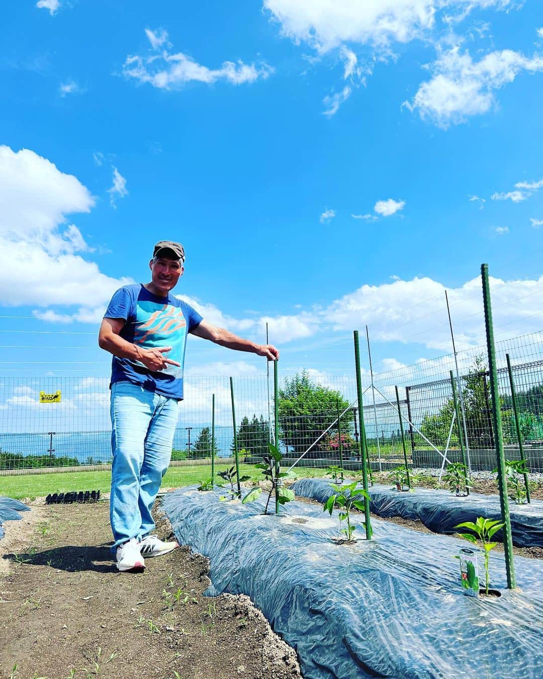 篠原信一のインスタグラム：「大きくなぁ〜れ😁 #家庭菜園  #夏野菜」