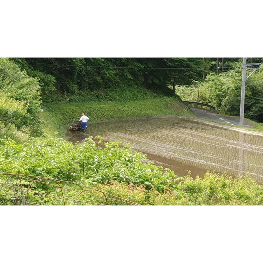花陽みらさんのインスタグラム写真 - (花陽みらInstagram)「田植えの季節。  先週は実家では田植えだったらしい😎  美味しい空気が写真からあふれる☺︎  #実家便り　#茨城 #親戚イベント」5月30日 13時54分 - miku_hanahi