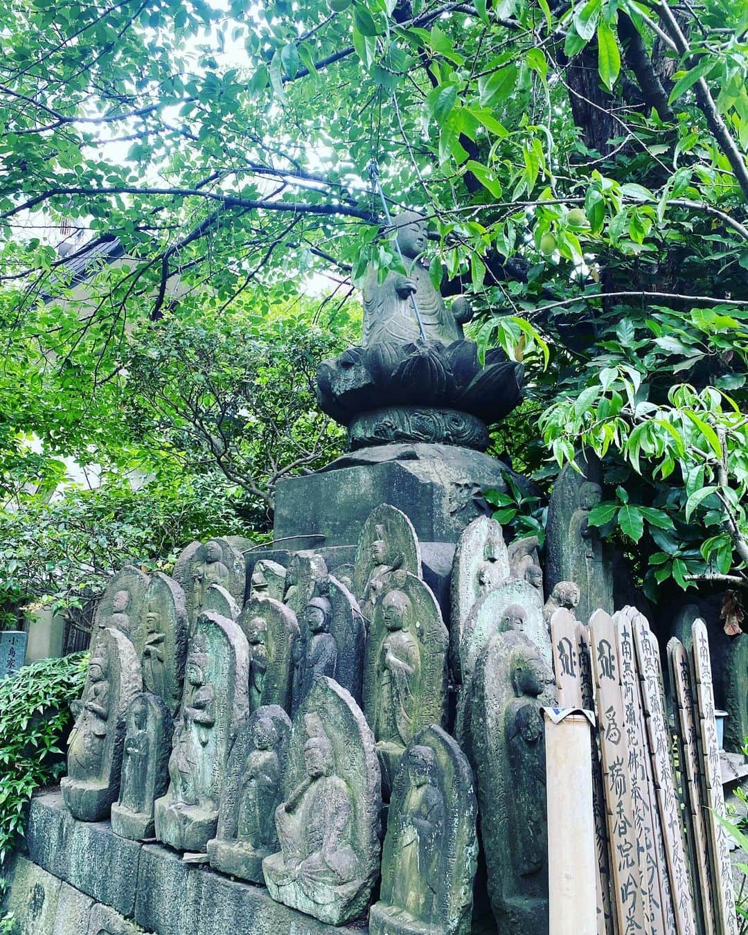 日出郎さんのインスタグラム写真 - (日出郎Instagram)「この前の日曜日、新宿2丁目の町内会のお神輿が出てるるるるる!!! 夜の街のイメージが強いけど親子三代で住んでる人達がいっぱいいるのよー!!  私もこの街に住んでる住人として御神楽見物ピーヒャラピーヒャラ♪  そして2丁目にある成覚寺!  江戸時代、内藤新宿という宿場町だった2丁目周辺には、飯盛女と呼ばれる色町特有の女郎的な人達もいたそうで、その魂を慰めるお寺だそうです!  昼間じゃないと怖くて入れない雰囲気がありますが、しっかりと新宿2丁目をずーと見守ってきたお寺です  紫陽花が綺麗に咲いてたなぁ  久しぶりに手を合わせてきました!  2丁目も実は長い歴史を感じられる街だなぁーと改めて思いました！  #日出郎 #新宿2丁目 #お祭り #成覚寺」5月30日 16時48分 - hiderou1030