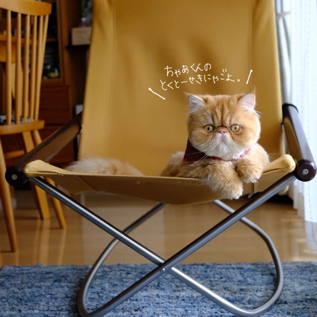 なっつ。のインスタグラム