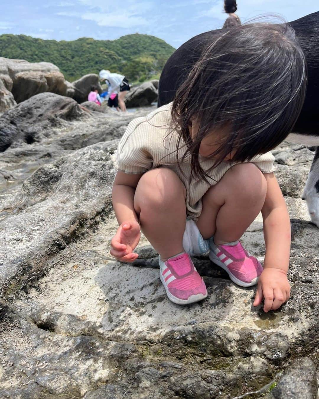 澤田泉美さんのインスタグラム写真 - (澤田泉美Instagram)「次の日の朝、朝食を食べていたら ピーンポーン♪とチャイムが鳴り...宅配便かと思いきや、 近所の友達が遊びにきたw そんなところも、面白すぎて最高〜〜〜🤣💕  朝食が食べ終わると、みんなでベル🔔🐶のお散歩をしに海へ！ 娘達は、終始ウキウキで 長女に関しては力尽きるまで遊んでいた🤣 （帰り道、「もう動けない...」と言っている写真が4枚目😂） 中1男子達が、代わりばんこでおんぶしてくれて 無事に帰宅できたよ🥹❤️本当に感謝😭  最後の方は少しだけ長女も回復して自分の足で歩きはじめた！と思ったら、中1男子達は、自分達がまた代わりばんこでおんぶ🤣🤣🤣....まだまだ可愛かった😂❤️  海からの帰り、恭平さん家にも少し遊びに寄らせてもらい、子ども達はヘビを追いかけ回したり、ターザンロープで遊んだり、ブランコで遊ばせてもらったり本当に楽しい二日間でした🤣  充実しすぎて..... 海育ちの私には歩いて海に行けるのが堪らなすぎた😭😭😭 すでに恋しいのでまた行きます❤️😍（これ言うの二回目w）  ひろこさん、本当に本当にありがとうー！ これからも、宜しくお願いします❤️  #葉山#2日目 #海#最高」5月30日 16時55分 - izumi.sawada