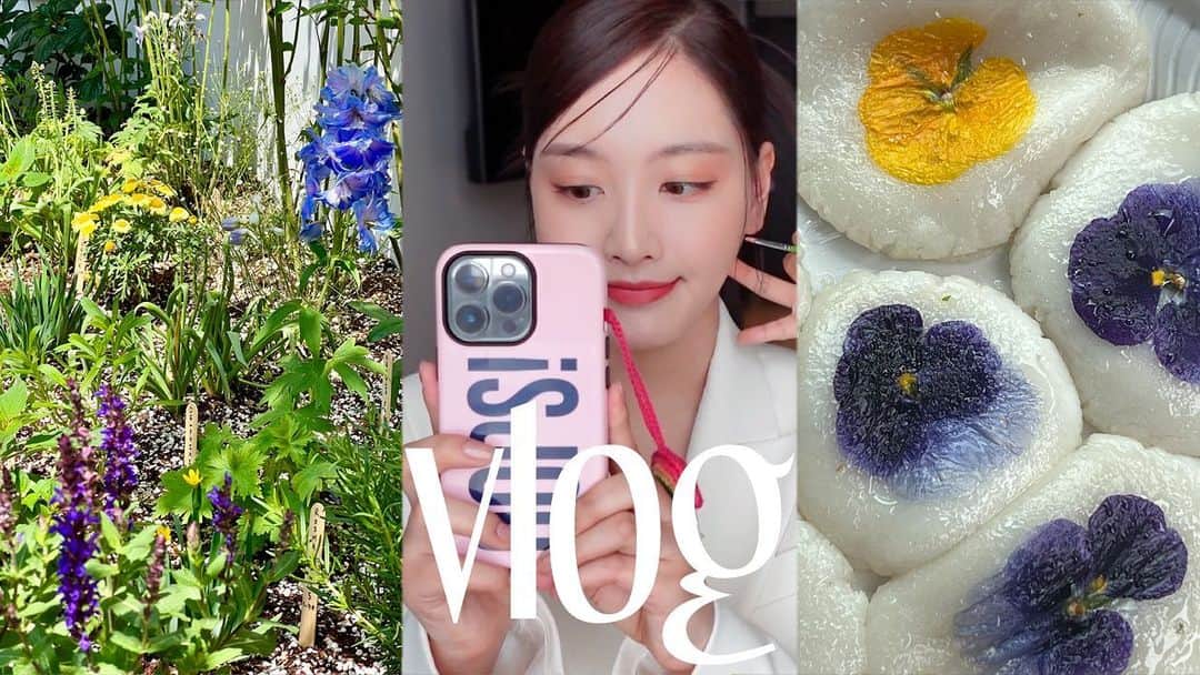 のインスタグラム：「유튜브에 본편 업뎃했어요!ㅎ  놀러와요🌸 (인스타 프로필에 링크 걸어둘게요!🫶🏻)」