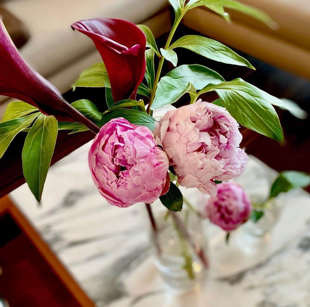 勝恵子さんのインスタグラム写真 - (勝恵子Instagram)「芍薬が開いてきました。✨✨  和のお稽古も、持ち帰ると リビングフラワーに😊😅  #芍薬 #大好きな花 #flowers  #loveflower」5月30日 17時09分 - keiko.katsu