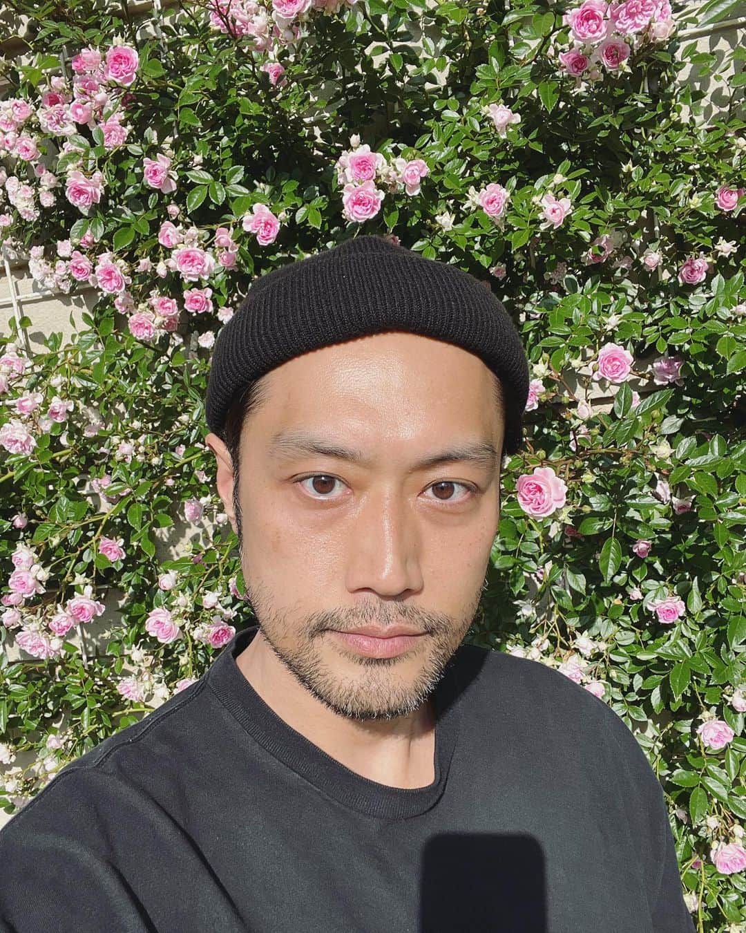 内田朝陽のインスタグラム：「お花は昔から好きでした。 この歳になって、バラが大好きだという事に気がつきました🌹 美しく棘があり香しい。 そして、バラの花は空に合う。 色々な国の品種を観察しました。 フランスやイギリスの品種に好みの物が多かった。 ベランダでバラを育ててみたいとも思うんですが、慣れてらっしゃる方居たらアドバイスよろしくお願いします。 バラ図鑑買おうかな🌹  #バラ #rose #ベランダでバラ  #花  #花のある暮らし #誕生日 #birthday」