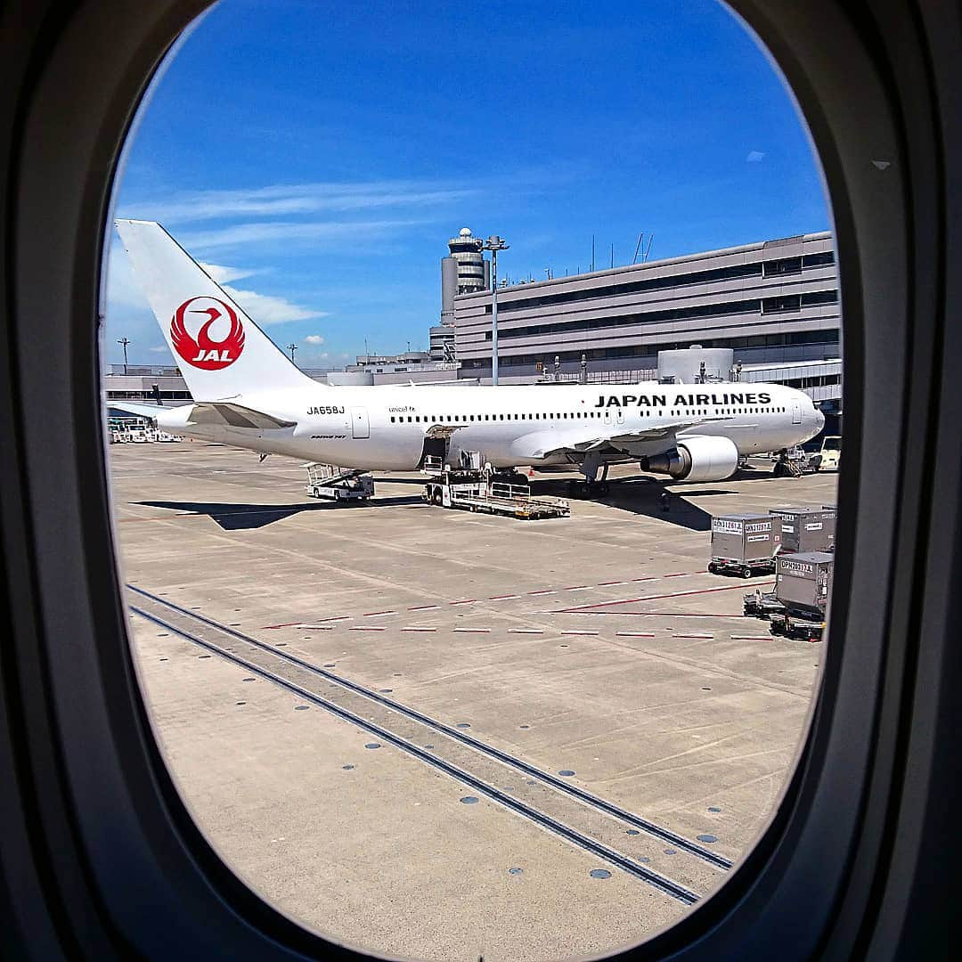 JALさんのインスタグラム写真 - (JALInstagram)「. 羽田空港での1枚📸 窓の外には青空と #ボーイング767 ✈︎ #PicturePerfectMay . . Photo by @kurogin.86 Post your memories with #FlyJAL  #JapanAirlines #JAL #airplane #✈︎ #羽田空港 #羽田 #東京 #ja658j #滑走路 #空港好き #飛行機倶楽部 #空活 #機内 #旅客機 #ワンワールド #飛行機が好き #機窓 #鶴丸 #飛行機  #飛行機写真 #飛行機撮影 #飛行機のある風景 #飛行機のある空 #飛行機好き #空港 #旅行 #日本航空」5月30日 17時30分 - japanairlines_jal