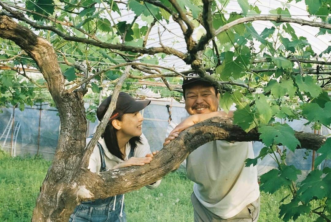 小川紗良のインスタグラム：「無農薬でぶどうをつくるご夫婦を、約1年にわたって追ったドキュメンタリーを公開しました。  こちらのプロフィールリンクから、#とおまわりチャンネル にてご覧いただけます。 @tomawari.ig   おふたりと出会うまで、私はオーガニックという言葉に「良さそう」くらいの漠然としたイメージしか持っていませんでした。そこにこだわる理由にまで想像が及ばず、若干の近づき難さを抱いていた部分もありました。  実際、オーガニック系のものって、良くも悪くもイメージだけで広まっているところはあると思います。  じゃあ、どうしてこの人たちは無農薬にこだわっているんだろう。しかも「ぶどう」という、とてつもなく手間のかかる果物で。そんな疑問と好奇心からこの農園に通い始めて、すぐに心を掴まれてしまいました。  それは、おふたりの無農薬栽培が、「大好きな人とずっと一緒にいたいから」という、超個人的で真っ直ぐすぎる思いから始まっていたからです。  もちろん環境保護や、お客さんたちへの思いもあるけれど、なにより栽培している自分たちが健やかでありたい。そのピュアさに惹かれるあまり、気づけば1年が経っていました。  春夏秋冬、海や大地と向き合いながら寄り添って歩むおふたり。そんな姿を見るうちに、私自身、食べること・働くこと・生きることへの眼差しが変わっていきました。  まさに「遠回り」、だからこそたどり着けた豊かな境地。幸せってなんだろうって思ってる人全員に観てほしいです。  #film #filmphotography #documentary #organic #pesticidefree #grapes #無農薬 #ぶどう #農業 #オーガニック #とおまわり」