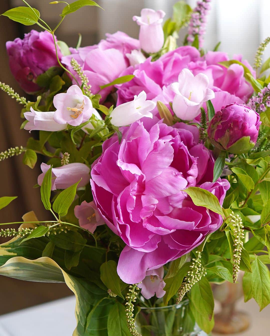 AOYAMA_HANAMOさんのインスタグラム写真 - (AOYAMA_HANAMOInstagram)「大輪の芍薬に季節の花々を合わせて。 ・ 鮮やかなピンクの大輪の芍薬に、淡いピンクのカンパニュラを合わせた花瓶活け。同系色のベロニカや、姫リョウブなどのリーフを合わせて、ナチュラルで上品な印象に仕上げました。 ・ かつて芍薬はうまく開花させるのが難しい花でしたが、世界各地で品種改良が進み、今では扱いやすい品種がいくつも生まれています。芍薬の優雅な花姿は、多くの人々の努力によって作り出されたものなのですね。芍薬のシーズンは佳境に入ってきましたので、季節を逃さずお楽しみいただければと思います。 ・ 青山花茂の「#季節の花の定期便」は、その時期に最適な花を使ってフラワーデザイナーがひとつひとつお作りしています。他の「花のサブスク」とは一味違う、切り花の質の高さと、上品な花合わせが魅力です。 - - - #aoyamahanamo #青山花茂 #お花のある生活 #花が好きな人と繋がりたい #花を飾ろう #花のある暮らし #花のあるくらし #花のある日常 #癒しの花 #季節の花 #旬の花 #花のサブスク #フラワーサブスクリプション #お花の定期便 #季節の花の定期便 #季節の花の定期便プレミアムプラン #芍薬 #シャクヤク #ピオニー #カンパニュラ #ベロニカ #姫リョウブ  #リキュウソウ #花瓶活け #花束 #ブーケ #ナチュラルブーケ #初夏の花 #古都の輝き」5月30日 18時00分 - aoyama_hanamo