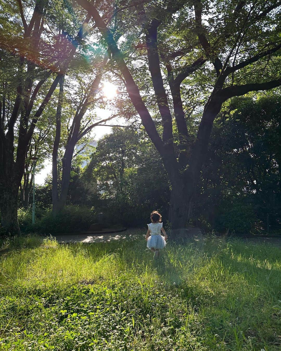 篠田麻里子のインスタグラム：「たまには子育ての話を🌷  自分のマインドセット変えたらすごく楽になりました  子供が産まれてからは「こんな母になりたい！」という自分の理想像があって でも出来てない自分を攻めたり、思い通りにならないことや周囲の目を意識し過ぎてキツかったなぁと。 自分でも自分を理解出来てなくて 誰のための育児？誰に認めてもらうための育児？みたいな そもそも初めてのことで何をどうしたら良いのかわからなくて苦しかった。  YouTubeをストップした理由もそれで、誰かにどう思われるとか良い母みたいなのって何のためだろう？と。 一生懸命頑張りすぎてたなぁと そもそもこれってやりたいことだった？ 共感されることって必要？ 「見せるための育児」みたいなのと 「良い母親とは」みたいな理想を追うのをやめたらすごく楽になりました。  自分の理想像の為に頑張って、ご飯も子育ても仕事も一生懸命やって、表に出る仕事で顔も疲れられない、家でもご機嫌でいなきゃ！みたいなのって正直難しい笑  子供の為家族の為と色々頑張りすぎてたけどそれって子供はいい迷惑だよね🤣  自分のキャパを自分で理解し、それ以上頑張らないと決めたらすごく楽になりました！  【まだまだ自分は出来てない】と自分を責めてたけど、頑張ってるじゃん！ って今出来てること、今あることに目を向けて自分自身をたくさん褒めてあげたら とても満たされていたことに氣がついた。  そして自分が満たされてるから人に優しく出来るのであって、自分がいっぱいいっぱいだったら人のことなんて手が回らないよね、、と痛感  結局自分のマインドセット次第✨だなぁと  子育てだけに一生懸命向き合ってたら絶対疲れるし余裕もない そんな優雅にお茶活できないですよ笑  SNSではあえて楽しい発信をしてますが、日常はそんなものではないです 仕事や子育てや大変だったり泣くこともたくさんある。 そしてまた彼女の成長過程で悩みも増えるとは思ってます✨ 　 でもあえて私は子供に振り回されることを楽しもうと決めて 子供から学ぶことも多く、自分の気持ち次第で楽しいにも辛いにもなるんだなぁと実感！  子育ても人生も、自分次第で楽しめるじゃんって最近思いました。  一生懸命向き合って頑張りすぎてた自分もよく頑張ったし、そんな時期があったから氣づけた。 これからは誰かを氣にする人生でもないので、頑張りすぎず楽しもうと決めました✨  そして自分の頑張りは自分しか褒めてあげられないからたくさん褒めて満たしてあげようと😉  母だからダメとか着れないとかしてはいけないとかそんなものなくて、とりあえずやってみよう✨精神でこれからもやってみます✨  共感できない人もいるかもしれないけど、私が暴走してると思ったら優しく突っ込んでください笑  大変なこともいっぱいあるけどたくさんの経験を得たおかげで、切り替え上手になってきて、まあそんな日もあるよね！ って感じで益々人間力上がってきた氣がします🤣  そして子供がやりたいと言ったものは何でも挑戦させられる環境にできるよう、母麻里子は頑張って働きます！！  この3年間は子供のおかげでいろんな成長が出来たことに感謝☺️ まだまだ学ばせて頂きます♪  自分の機嫌は自分で取るをモットーに✨これからも楽しもう！！  そしてここまでの成長も学びも氣づきも、本当に皆さんのおかげです。 ありがとうございます 皆さんが幸せな日々を過ごせますように✨  #目標は低く志は高く#3歳#麻里子成長期」