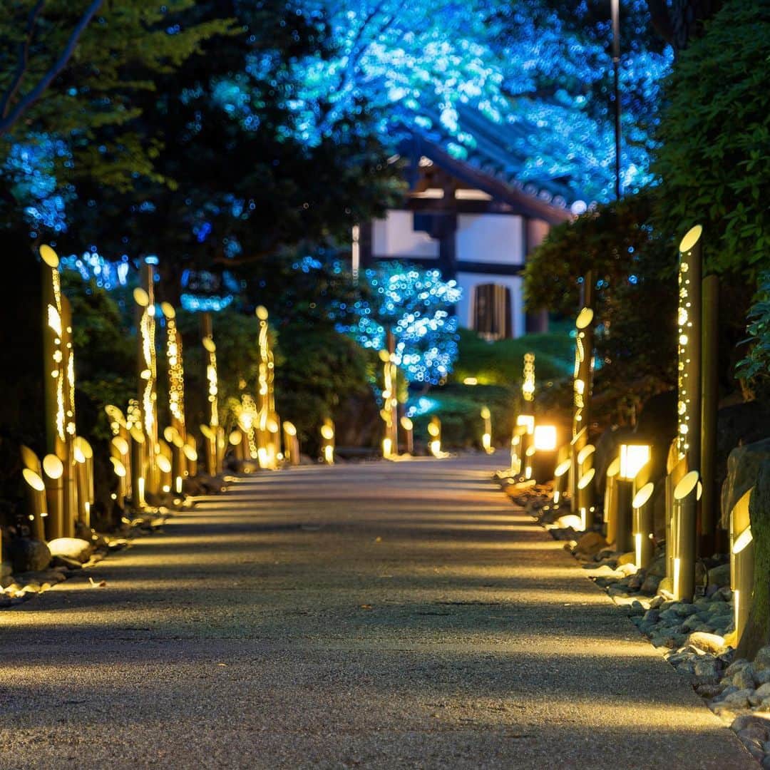 グランドプリンスホテル新高輪さんのインスタグラム写真 - (グランドプリンスホテル新高輪Instagram)「. 初夏の夜を優しく照らす竹あかり。 とっておきの一枚を撮影してみてはいかがでしょうか。 グランドプリンスホテル高輪とホテル椿山荘東京では共同Instagramキャンペーンを開催中！ 皆さまの素敵なお写真をぜひご投稿ください♪ 🔍キャンペーン詳細はハイライト「IG Campaign」よりご確認いただけます。  Bamboo lights that gently illuminates in the early summer night. How about taking a photo together with our illuminations? Grand Prince Hotel Takanawa and Hotel Chinzanso Tokyo are holding an Instagram campaign! Please post your wonderful photos♪ 🔍You can check the details of the campaign from our highlight "IG Campaign".  #竹あかり #グランドプリンスホテル新高輪　#グランドプリンスホテル高輪 #ザプリンスさくらタワー東京 #ホテル椿山荘東京#プリンスホテル #高輪廿六夜 #高輪時間 #grandprincehotelshintakanawa #grandprincehoteltakanawa #theprincesakuratowertokyo #ちかけん #chikaken #竹 #japaneseculture #japanesecultures #japaneseculturefestival #やさしい光 #煌めき #光の絶景 #イルミネーション #竹 #ちかけん #chikaken #chikaken_takeakari #高輪竹あかり #椿山荘竹あかり#bamboolantern #bamboolight」5月30日 18時29分 - grandprincehotel_shintakanawa