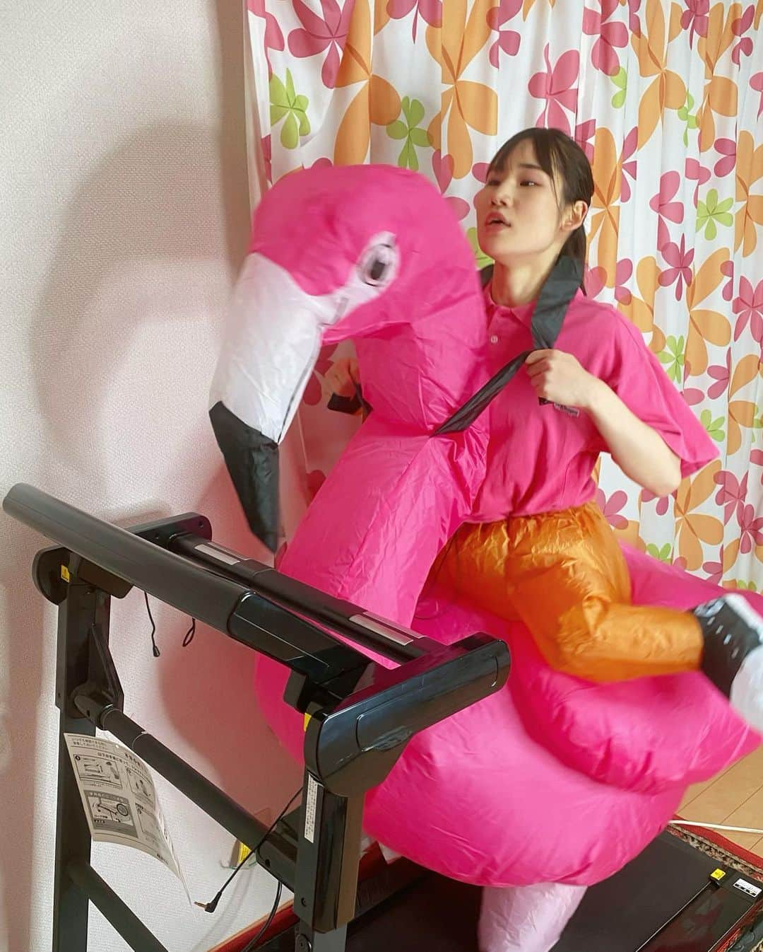 横山天音さんのインスタグラム写真 - (横山天音Instagram)「愛フラミンゴのアマミン子ちゃんです🦩💕 YouTube 横山天音チャンネル見てね🦩❤️  #フラミンゴ#購入品紹介#ペット#買ったんさ#飼ったんさ#愛犬#愛猫#愛フラミンゴ#kawaii#動物 #横山天音#youtube #新潟 #instagood#photooftheday#photography#happy #follow#like4like#travel #instagram#pet #flamingo」5月30日 18時58分 - amagon5546