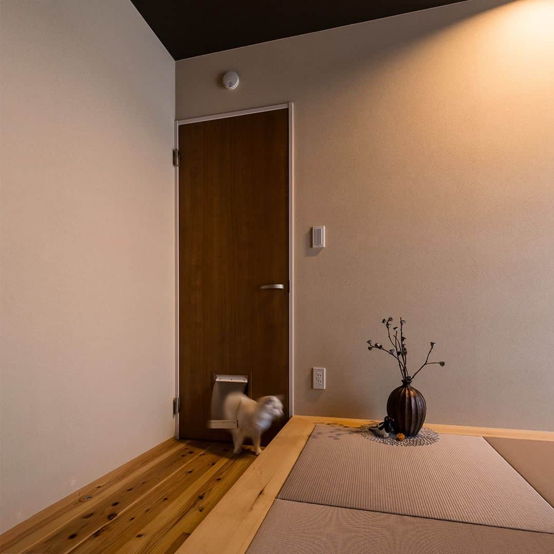 コラボハウス一級建築士事務所さんのインスタグラム写真 - (コラボハウス一級建築士事務所Instagram)「平屋＋猫にもやさしい間取り 室内ドアの一部に猫が行き来できるキャットドアを。 猫用トイレは来客の目に触れない洗面所に配置。 ------------------------------------------------------ コラボハウスは 設計士と直接話して家づくりをする設計士事務所です。 「住みやすく使いやすい、ちょっとカッコいい家」 をコンセプトに家づくりのお手伝いをしています。 土地探し、間取りづくり、デザイン、家具選び 資金計画、工事、メンテナンスまで設計士に全部お任せ。 DMやHPからお気軽にお問い合わせください。 ------------------------------------------------------ #外観デザイン #ファサード #ベージュ #平屋 #塗り壁 #庭のある暮らし #無垢床 #ねこ #ねこすたぐらむ #和モダン #植栽 #緑のある暮らし #和室 #造作 #キャットドア #格子 #自分らしい暮らし #デザイナーズ住宅 #注文住宅新築 #設計士と直接話せる #設計士とつくる家 #コラボハウス #インテリア #愛媛 #香川 #岡山 #大阪 #徳島 #秋田 #マイホーム」5月30日 19時00分 - collabo_house
