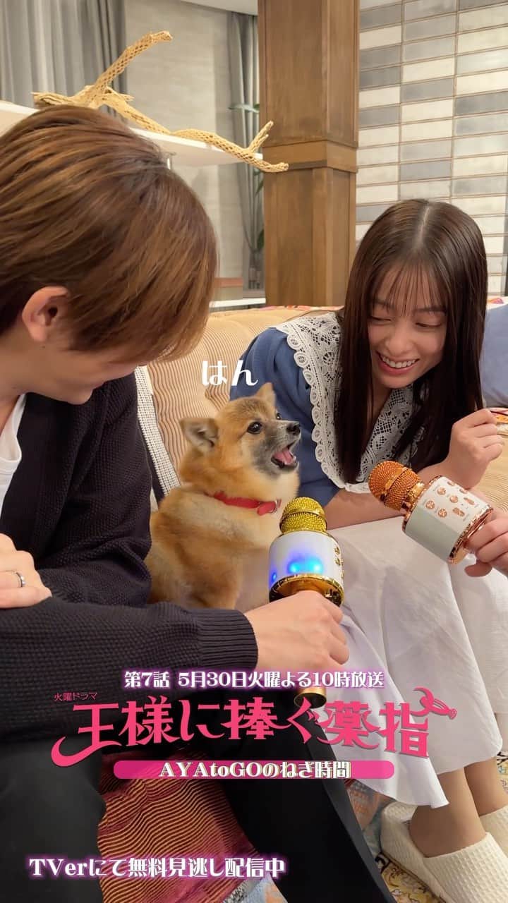 王様に捧ぐ薬指のインスタグラム：「💍  ／ 　#王ささカウントダウン ˗ˏˋ⏰  　第7話の放送まであと3時間🐶🎤 ＼  第6話で綾華と東郷が撮影していたカラオケ配信から メイキング動画をお届け♡🎶  ネギちゃんも一緒にカラオケ🐶🎤 可愛すぎてみんな、もう、メロメロです。笑  第1~3話と最新話はTVerにて見逃し配信中🕊 第1~5話の早分かりダイジェストもあります🫰🏻 第7話の放送前にぜひ🤍  #王様に捧ぐ薬指 #王ささ  #橋本環奈 #環奈ちゃん #山田涼介 (#HeySayJUMP) #坂東龍汰  #長尾謙杜 (#なにわ男子) #森永悠希  #塚地武雅  #利重剛  #りょう #松嶋菜々子  #TBS #火曜ドラマ  #小学館 #春ドラマ #ラブコメ #胸キュン  #ドラマ好きな人と繋がりたい  #プロポーズ #夫婦 #夫婦バトル　 #第7話は本日よる10時放送🐶」