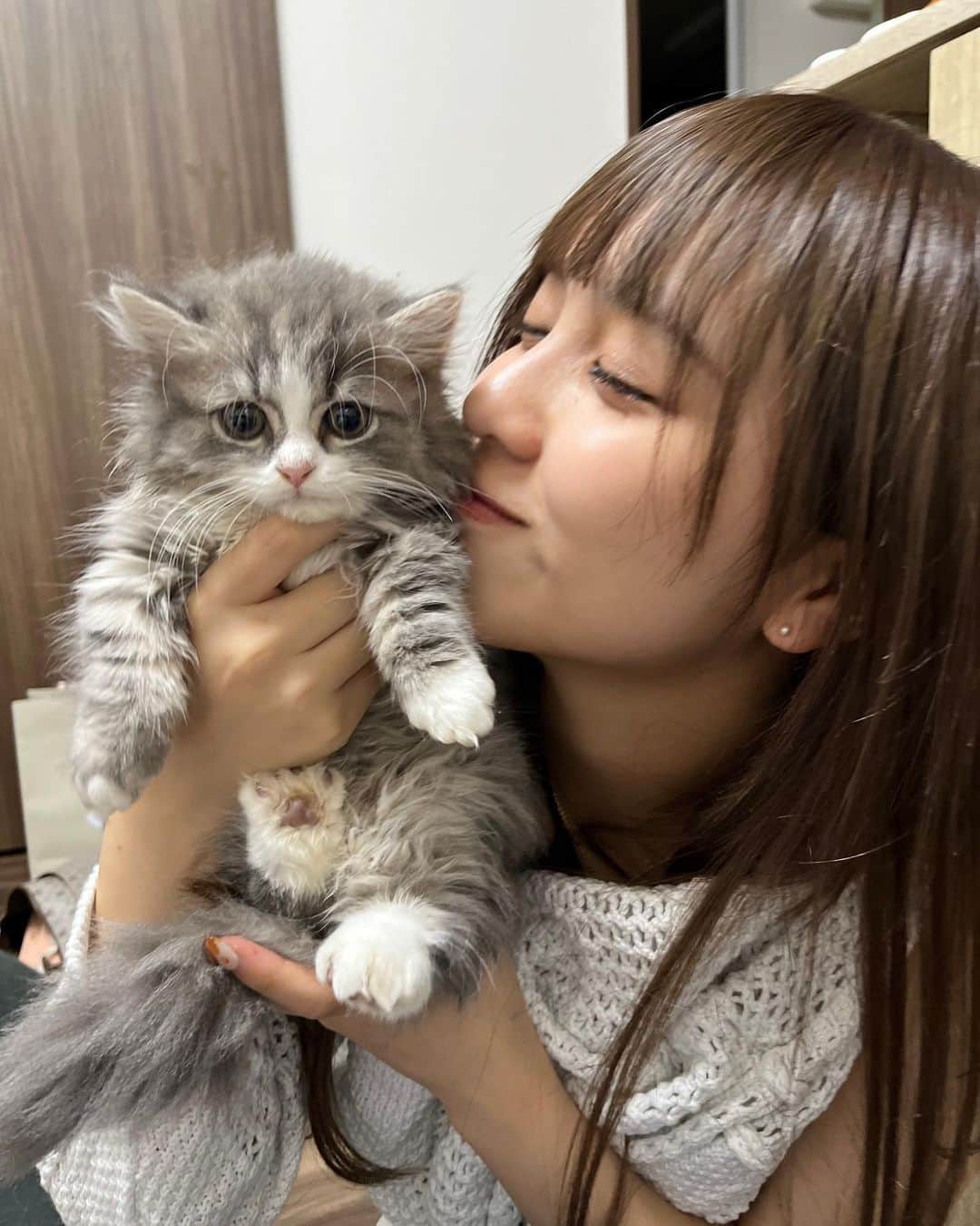 あみち。さんのインスタグラム写真 - (あみち。Instagram)「猫好き @tsumugi_._._suzuki」5月30日 19時31分 - ami_._._suzuki