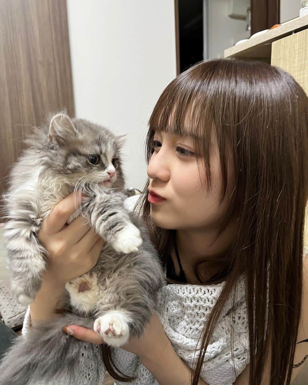あみち。さんのインスタグラム写真 - (あみち。Instagram)「猫好き @tsumugi_._._suzuki」5月30日 19時31分 - ami_._._suzuki