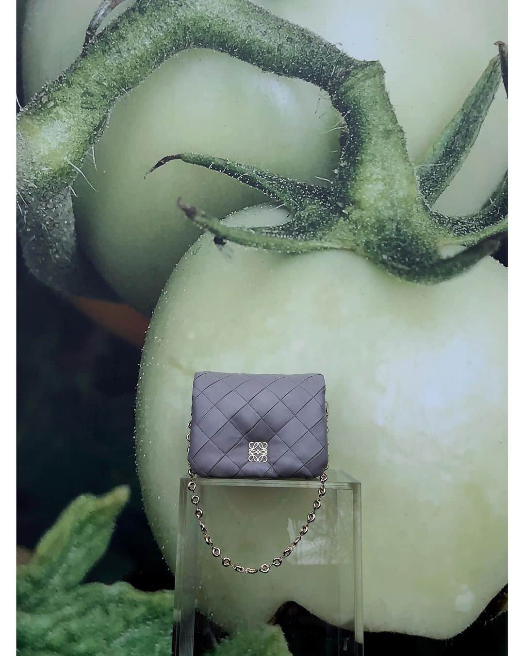 Loeweさんのインスタグラム写真 - (LoeweInstagram)「LOEWE Fall Winter 2023 precollection campaign featuring Hans Ulrich Obrist, 'If You Pay Attention No. 89', the Elephant bag, ‘Green Tomatoes’, and the Mini Puffer Goya.  Photography Juergen Teller  #LOEWE #LOEWEFW23」5月31日 1時00分 - loewe