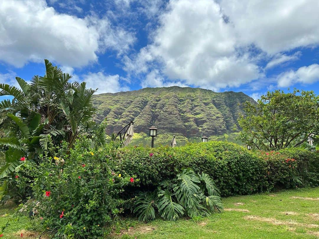 碧井椿さんのインスタグラム写真 - (碧井椿Instagram)「長い一日💁‍♀️  ハワイ西海岸マカハへ行って⛰ ヘイアウでパワーをいただきお祈り🙏 ディナーはmirokaimukiへ🍽 そのあとはSky waikikiへ🥂  めちゃ濃い一日でした♡  翌日は朝6時集合でヨガ→ハイキングも 有言実行💛スケジュール通りに動く🗓の大好き❗️」5月30日 19時50分 - vivichan1325