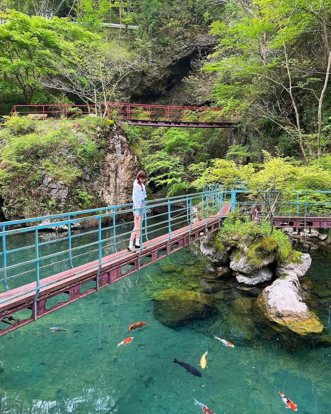 川村文乃のインスタグラム：「白龍湖  📍高知県高岡郡津野町芳生野甲 白龍湖  天狗高原の入り口付近 国道439号沿いの「与作狸」が目印🦝  湖底まで透き通る水と湖で泳ぎゆう鯉が神秘的です💎 紅葉が綺麗な時期にも行ってみたいな〜🍁  #ANGERME#アンジュルム#川村文乃#かむ高知観光#高知県#津野町#高知観光#白龍湖」