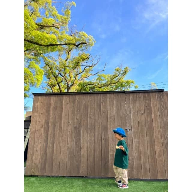 NON-Pさんのインスタグラム写真 - (NON-PInstagram)「毎回行きたくなる、来宮神社⛩  神社敷地内にカフェが何個かあるんどけど、 こんなにマイナスイオンたっぷりの開運Power満タンの所で働けるのってサイコー❕  毎回、本気で働きたいと思ってしまう☕️  #gw #最高　でした #熱海 #atami #☀️ #🌿 #👨‍👩‍👦　➕大津 #来宮神社 #⛩」5月30日 19時57分 - nonp_mam