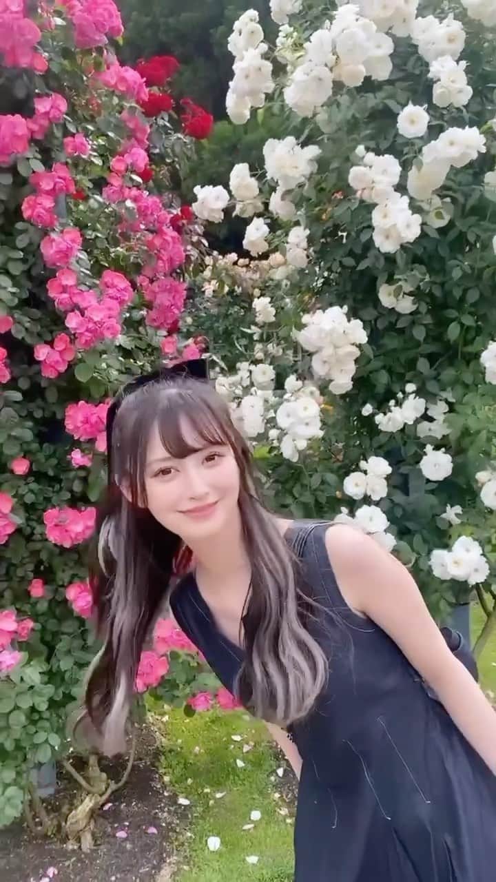 山本望叶のインスタグラム：「ピンクの薔薇と白の薔薇がすき..♡」