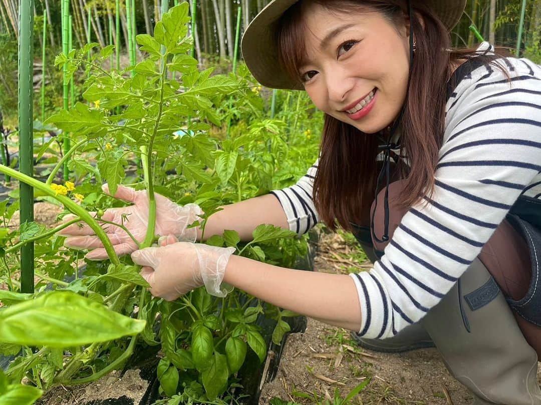 速水里彩のインスタグラム